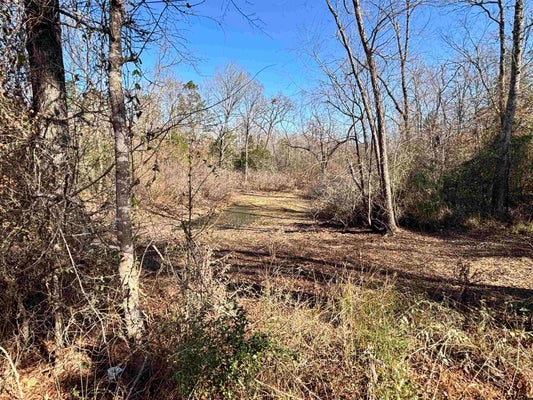 134 S MAIN ST, REKLAW, TX 75784 - Image 51ccd5e793ef25565e4a011bedec1c75/3449261123
