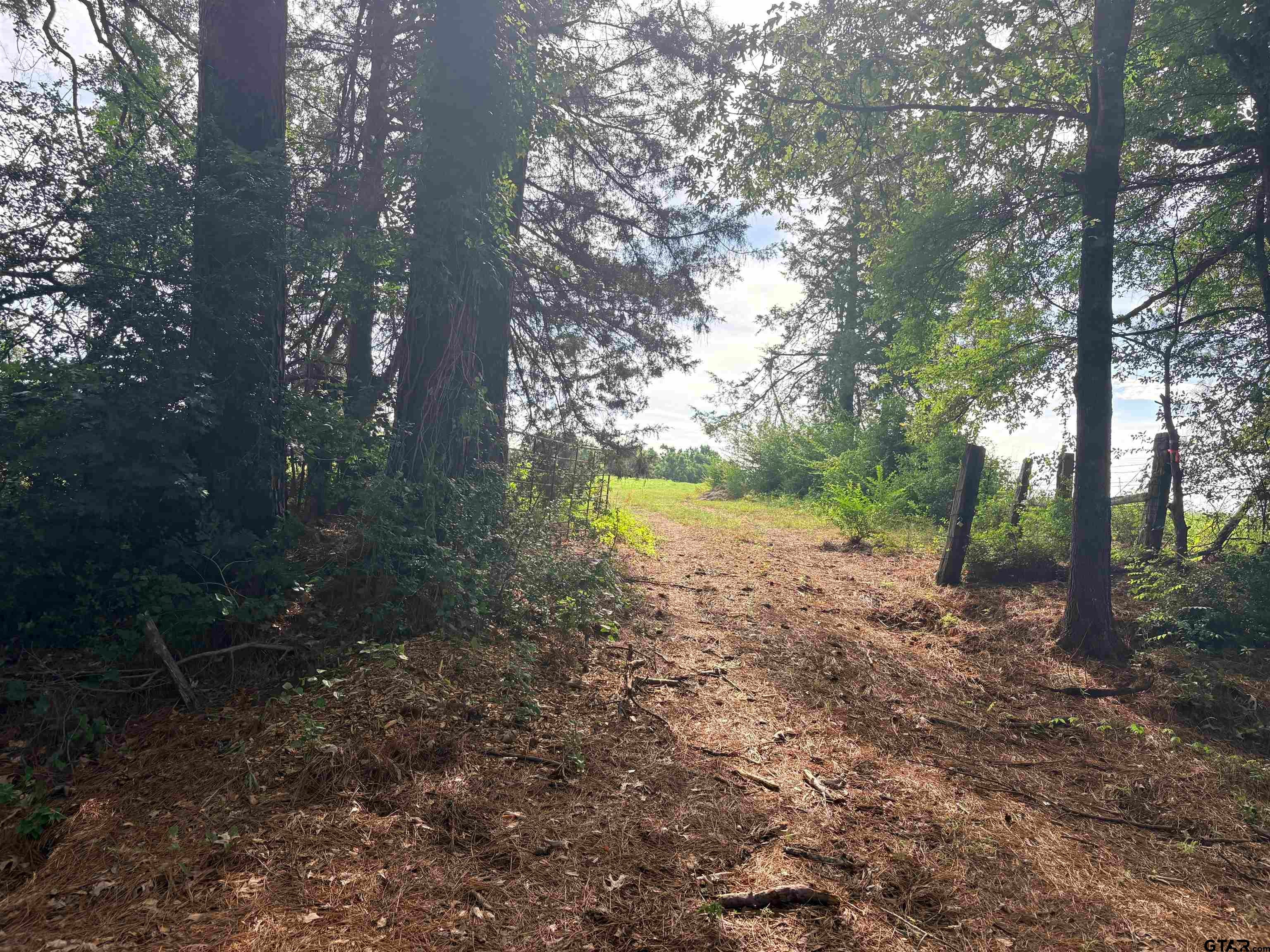 tbd 7.17 acres FM 856