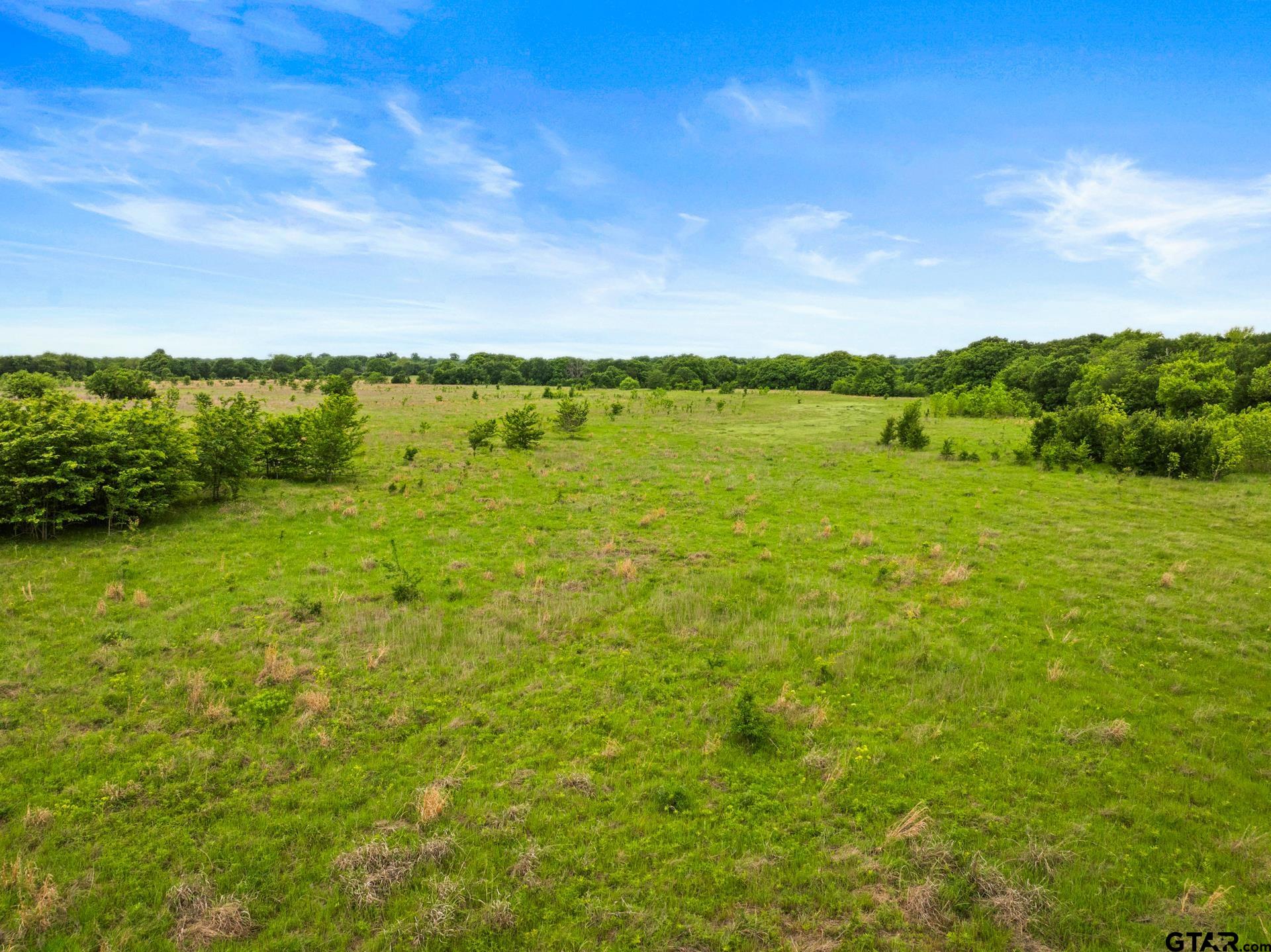 TBD County Road 3111