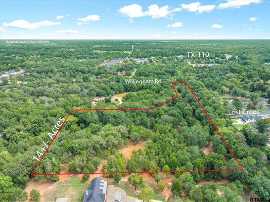TBD WILLINGHAM RD, WHITEHOUSE, TX 75791 - Image 57f31e5ff4e279191a3729b4edff07d4/3446596206