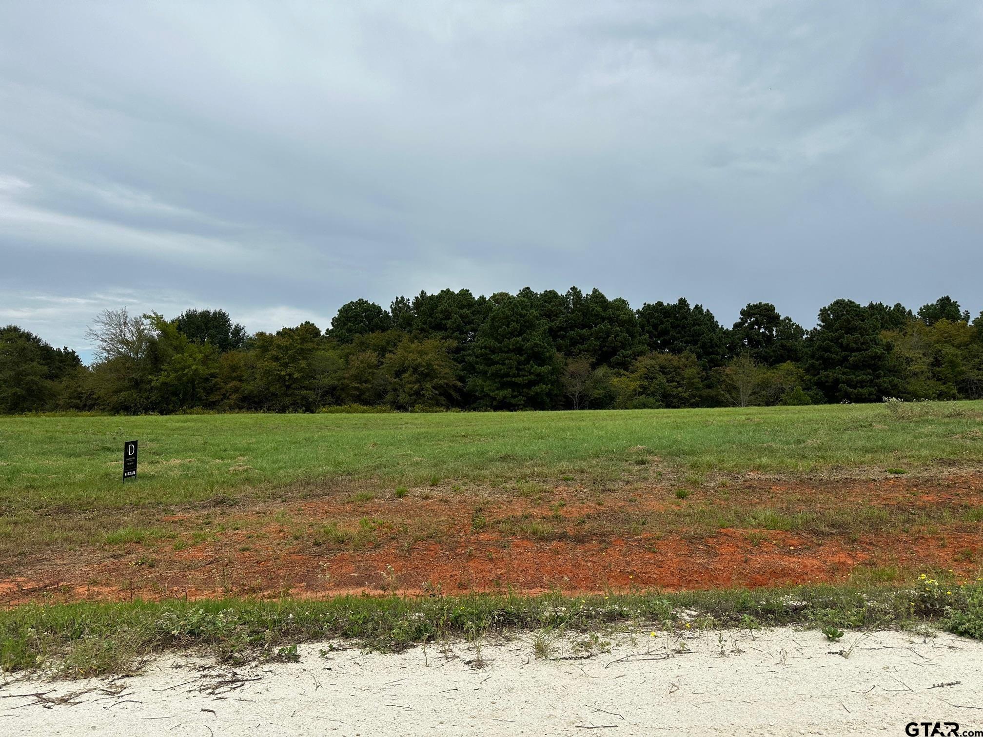 16724 CAELI HEIGHTS COURT (LOT 13)