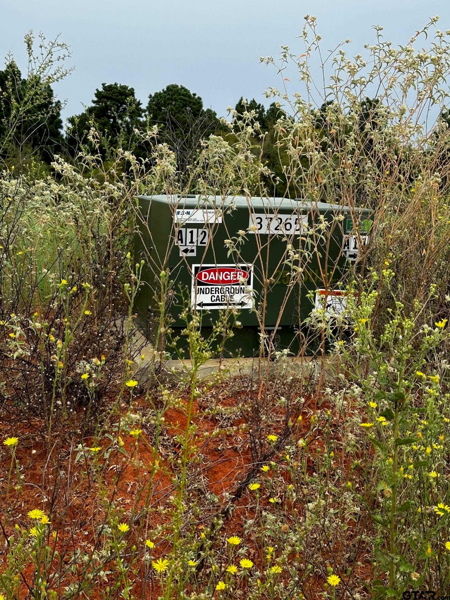 16724 CAELI HEIGHTS COURT (LOT 13)