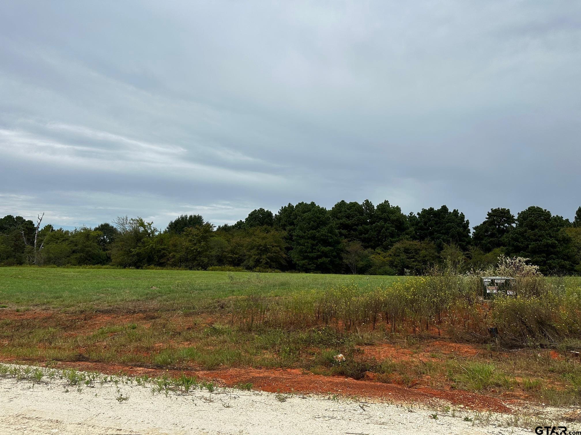 16724 CAELI HEIGHTS COURT (LOT 13)