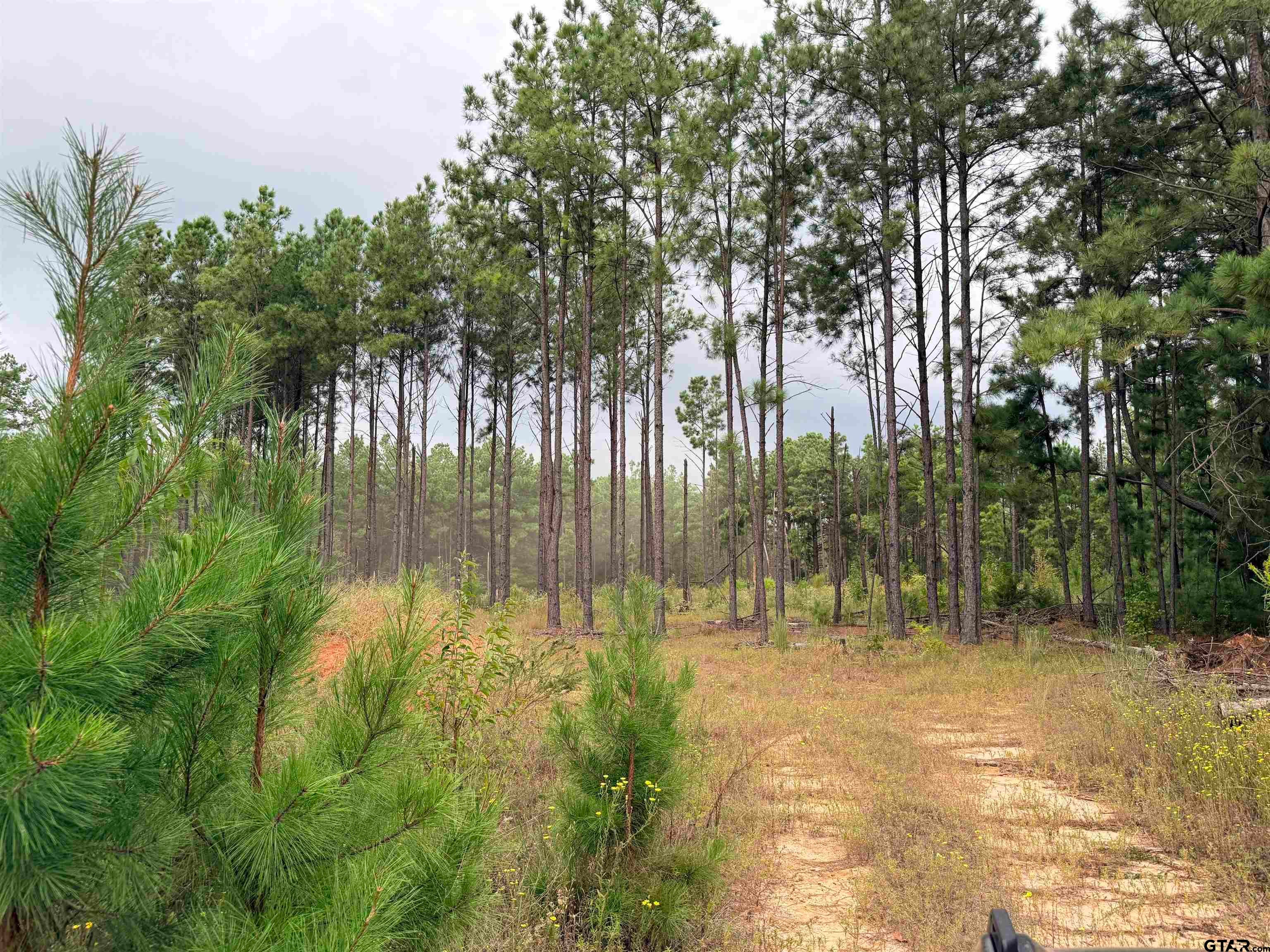 TBD CR 1507- 12.54 acres