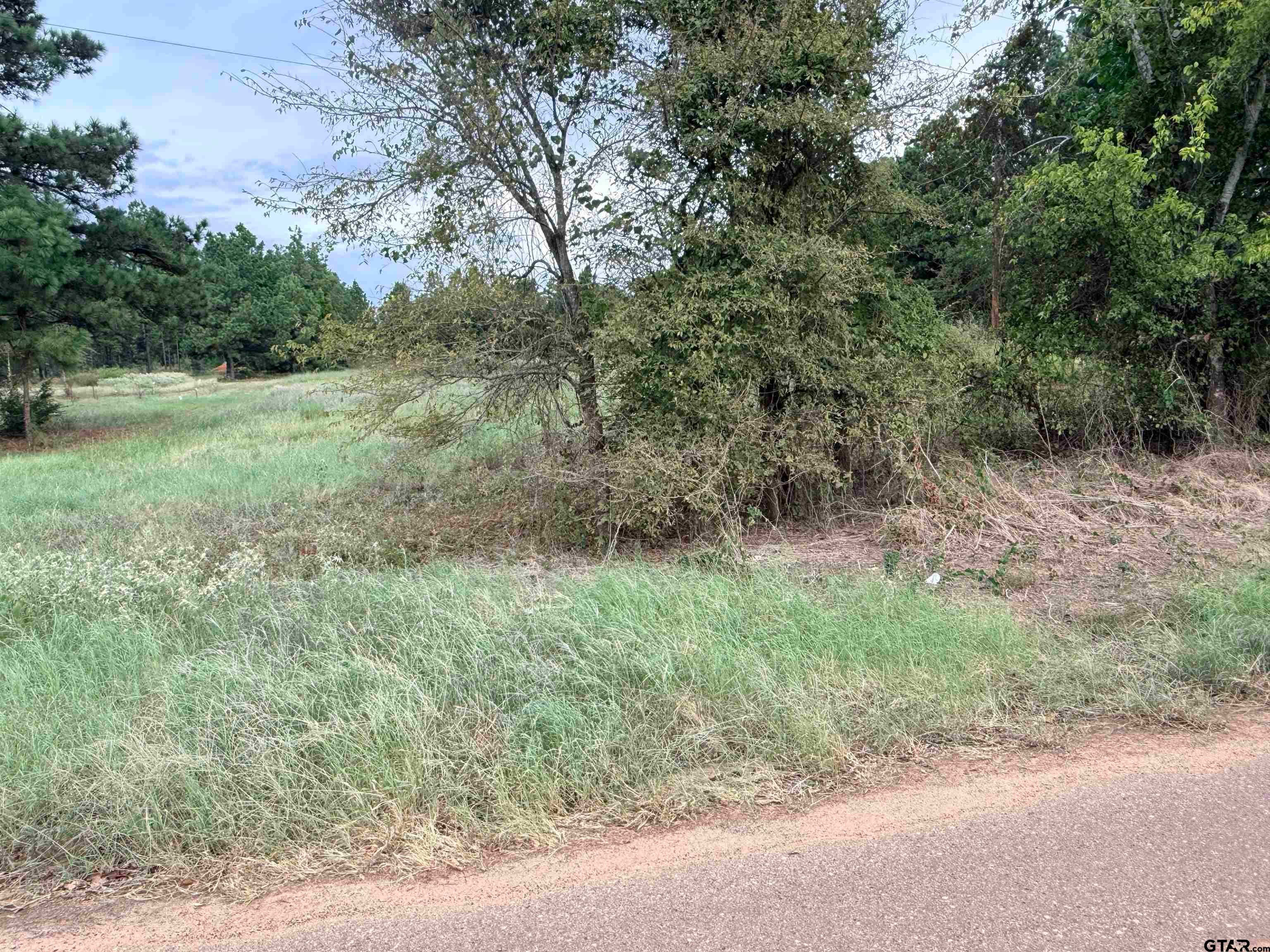 TBD CR 1507- 12.54 acres