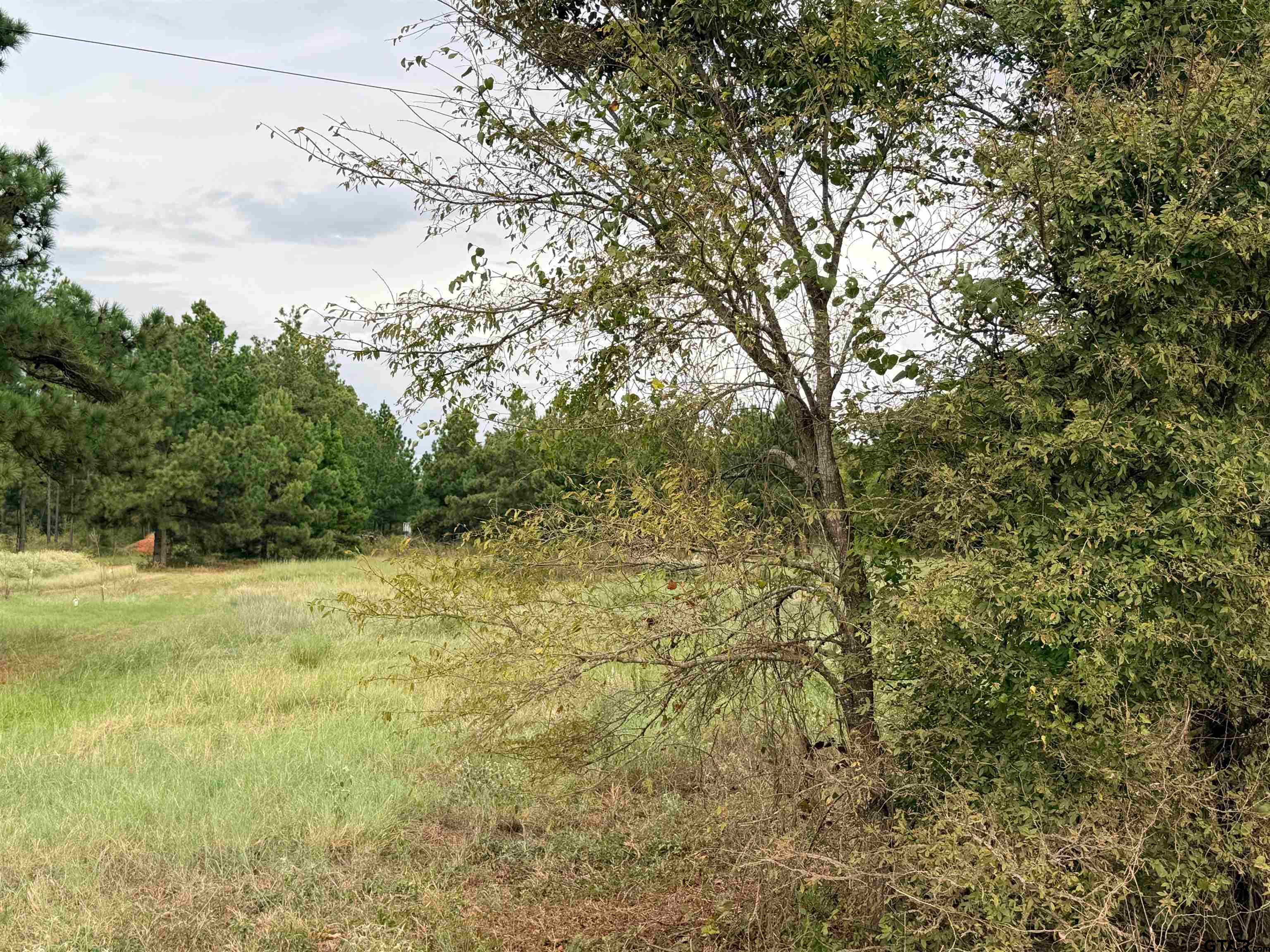 TBD CR 1507- 12.54 acres