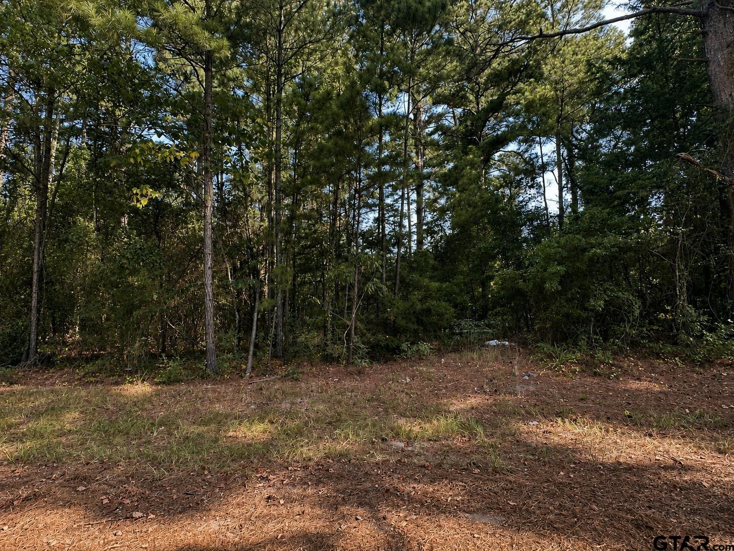 TBD County Road 2150
