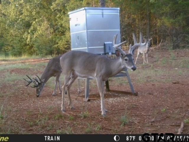 16092 County Road 440