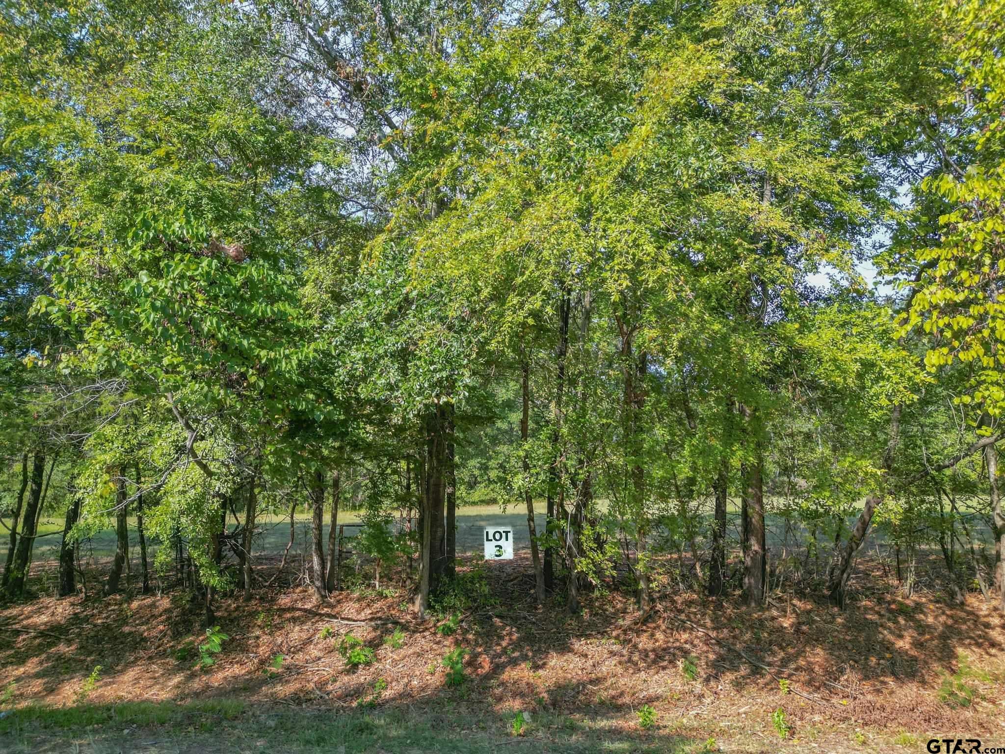 Lot 3 Willingham Rd