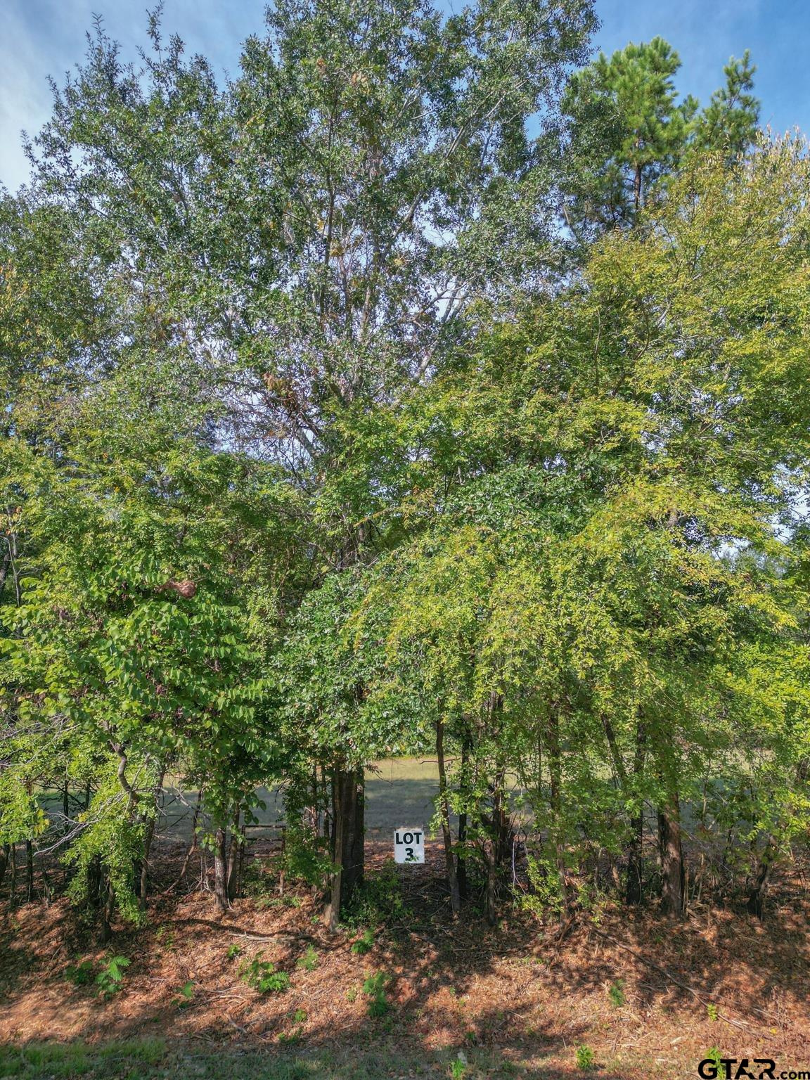 Lot 3 Willingham Rd