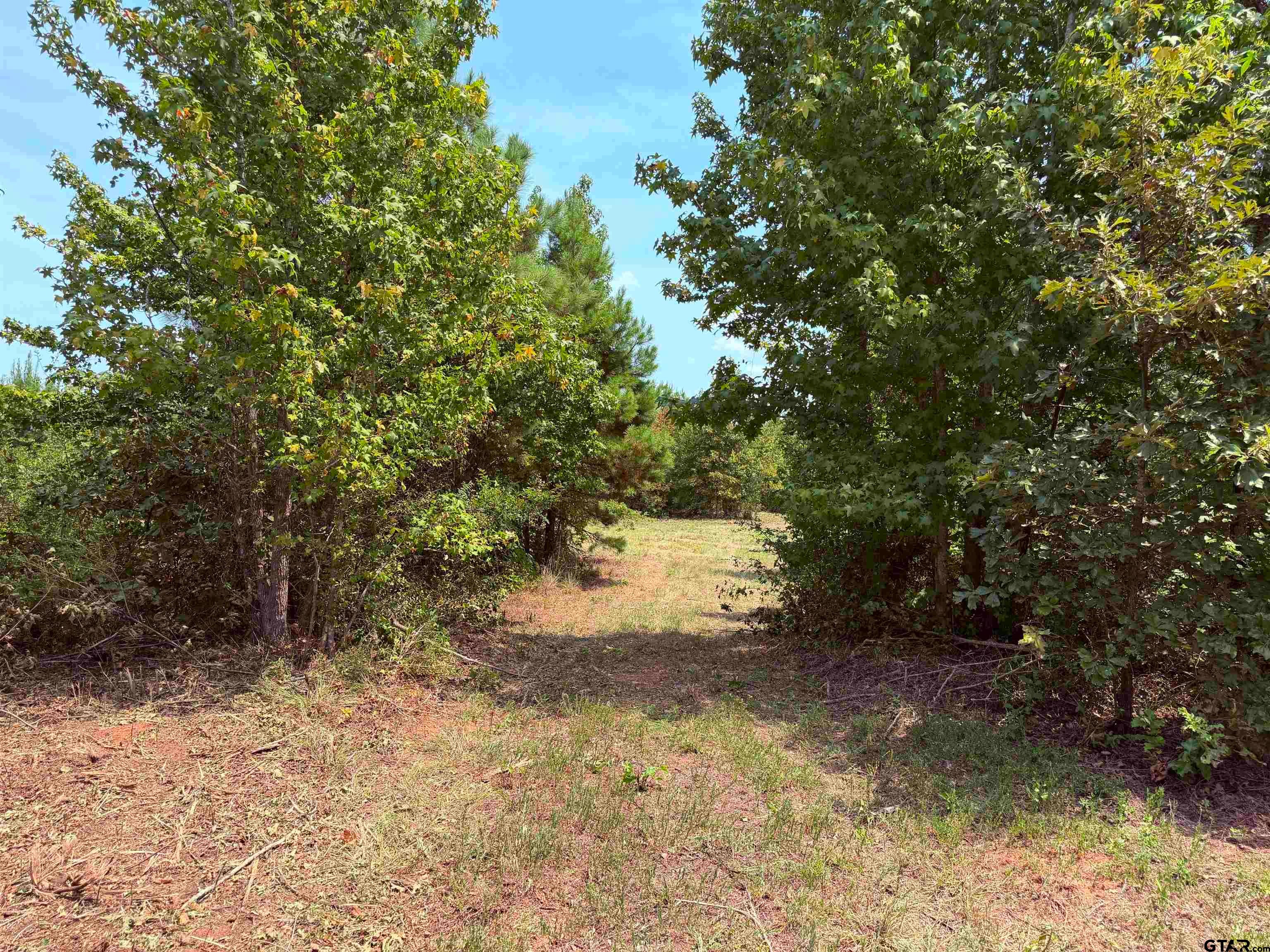 TBD County Road 353 S