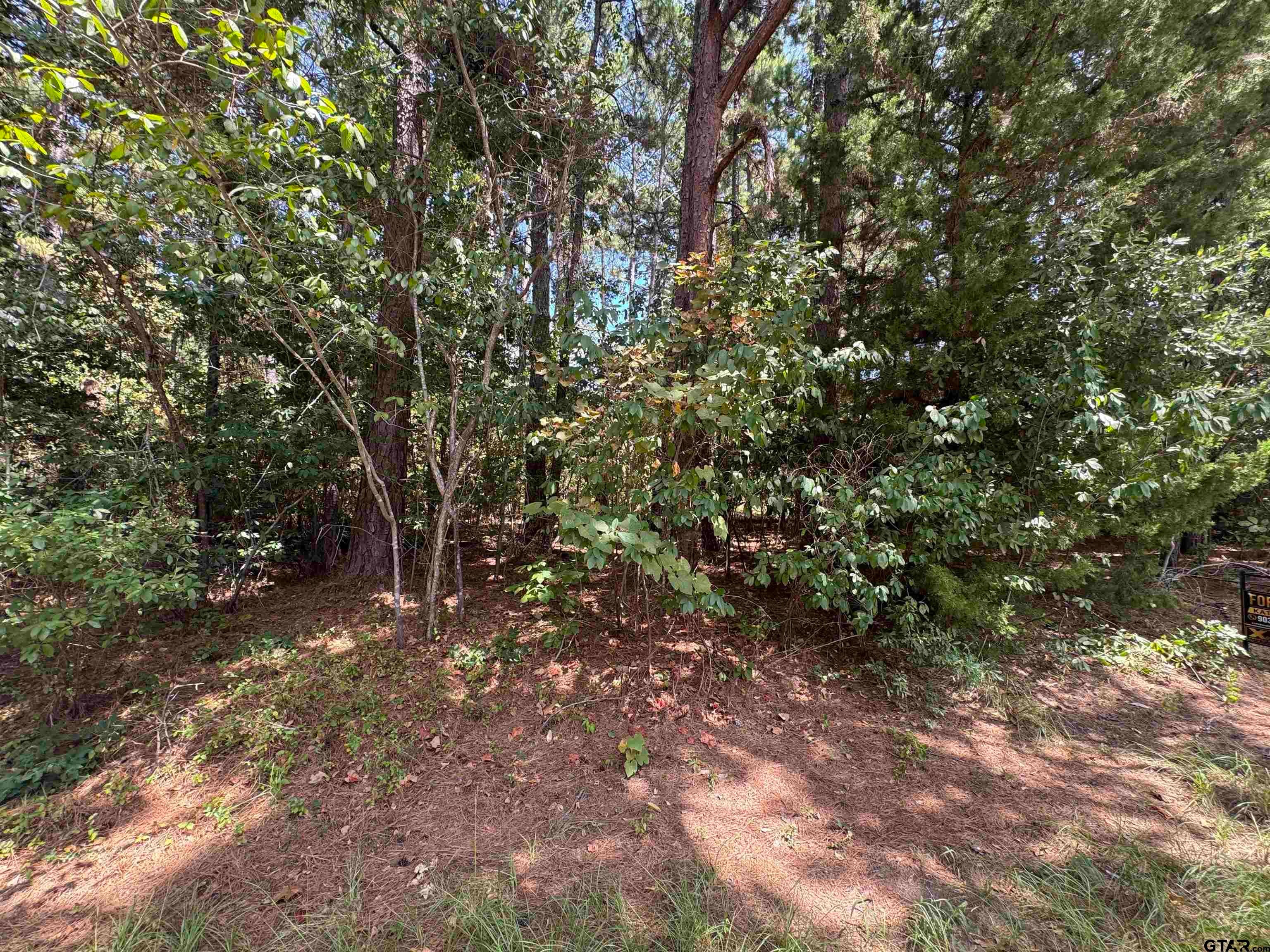 352 Neches Dr
