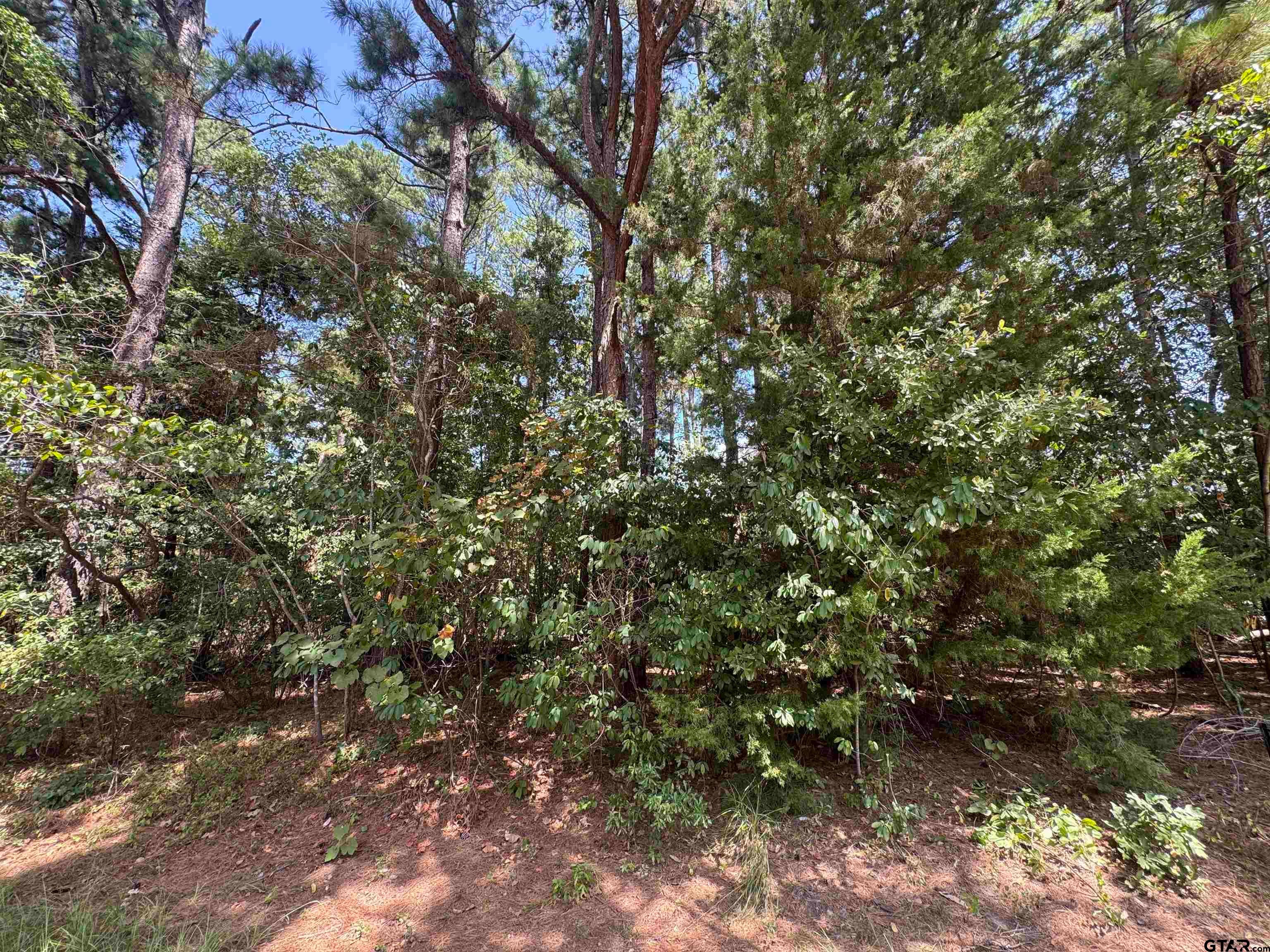 352 Neches Dr