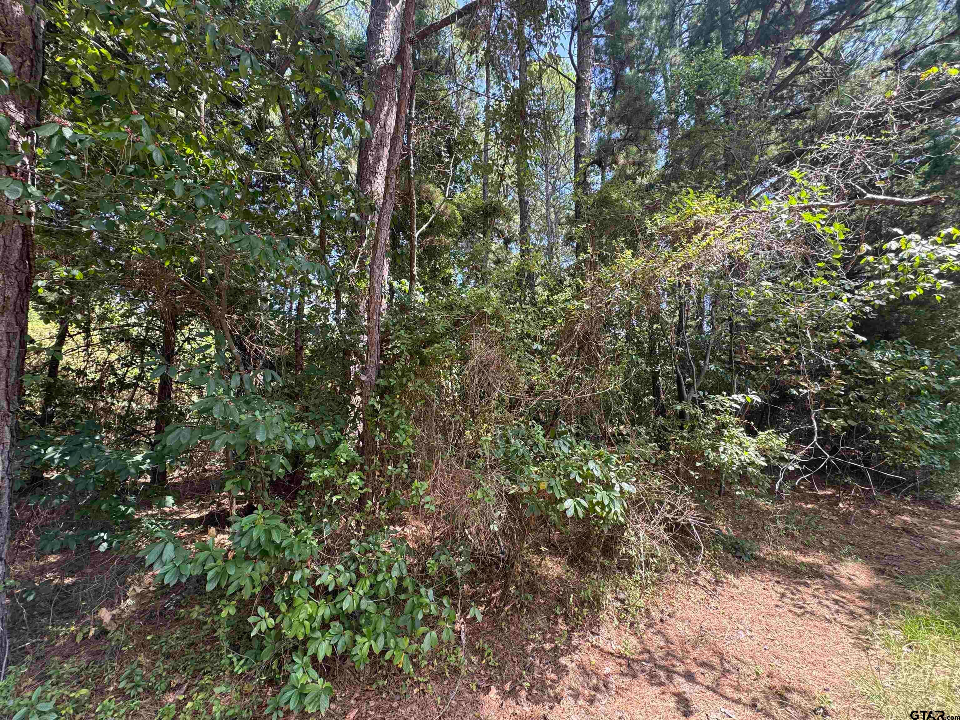 352 Neches Dr