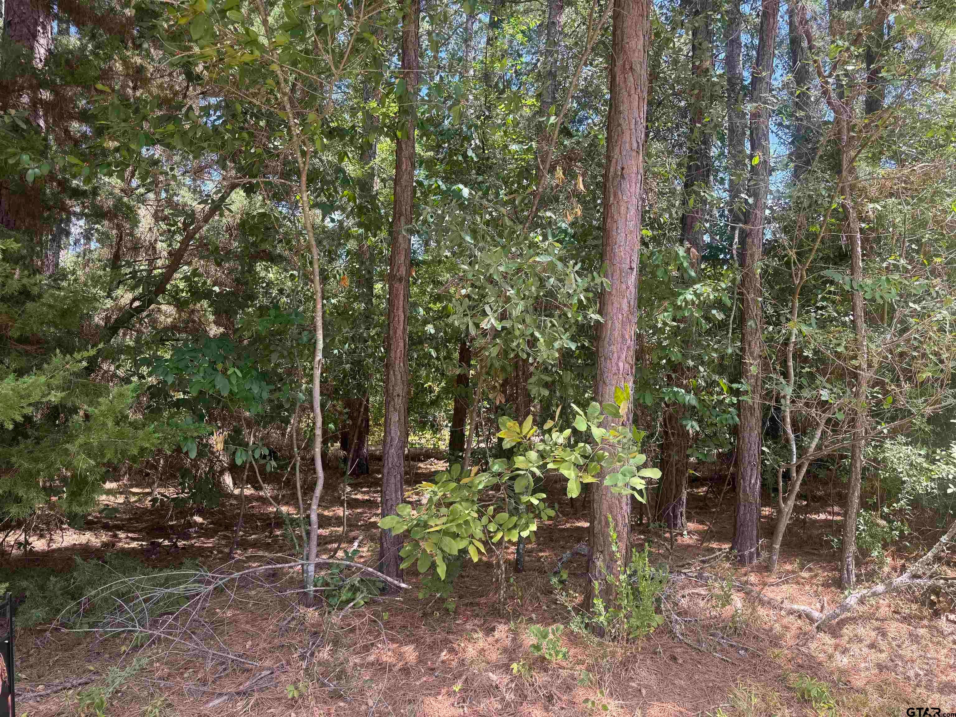 352 Neches Dr