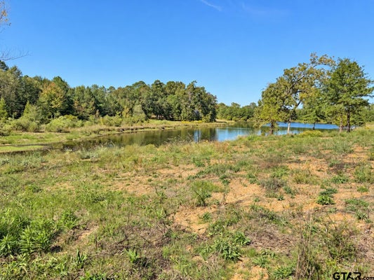TBD FM 2015 LOT "A", WINONA, TX 75792 - Image 6652e901c868d83a64cf1fdf49b9b2eb/769188960