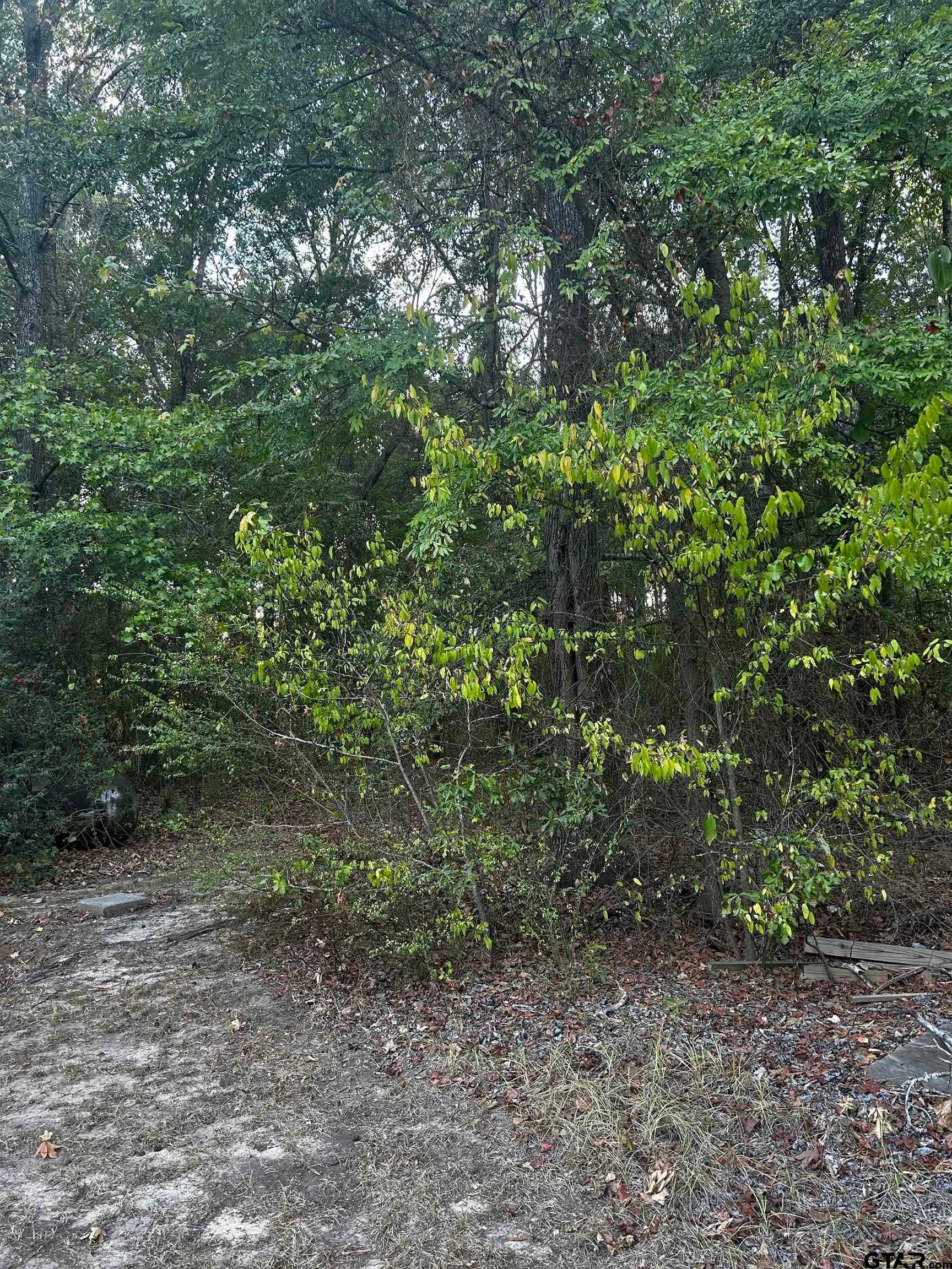 TBD Airlite Rd.