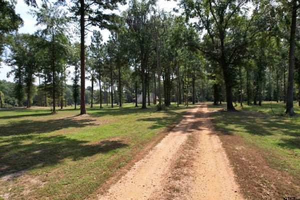 TBD (LOT 6) COUNTY ROAD 3545, JOAQUIN, TX 75954 - Image 670bffe70794fb9507cf5a4ebe8aacdc/2382050739