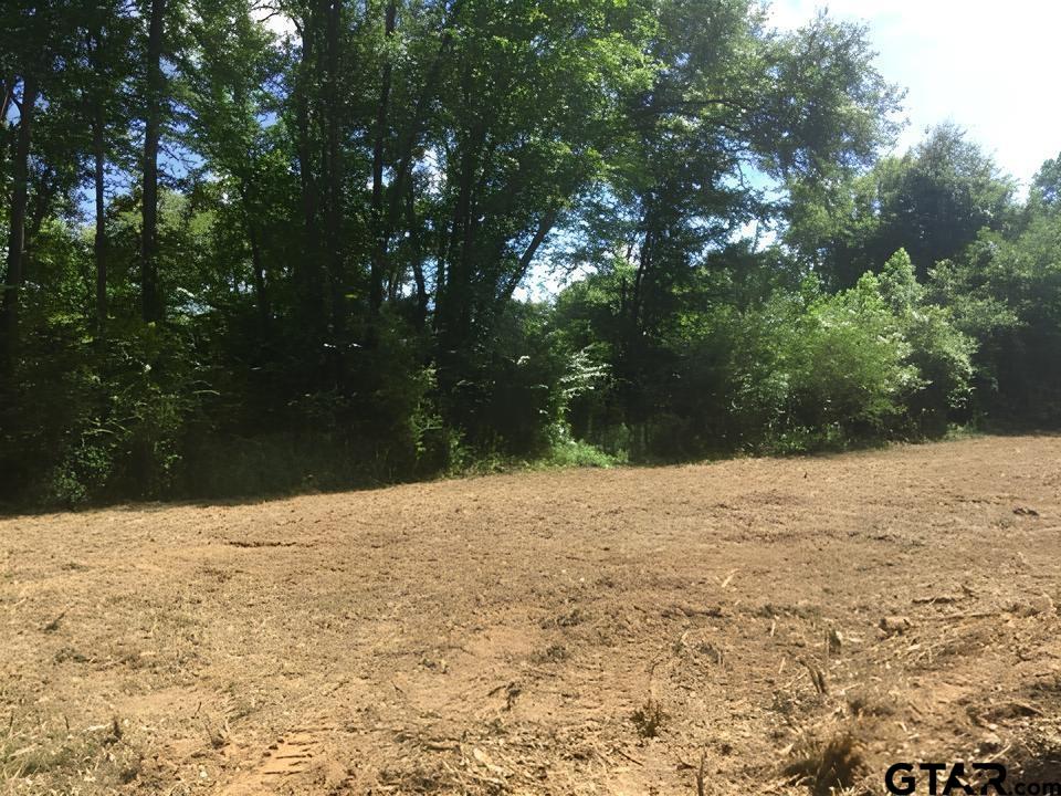14871 Highway 110