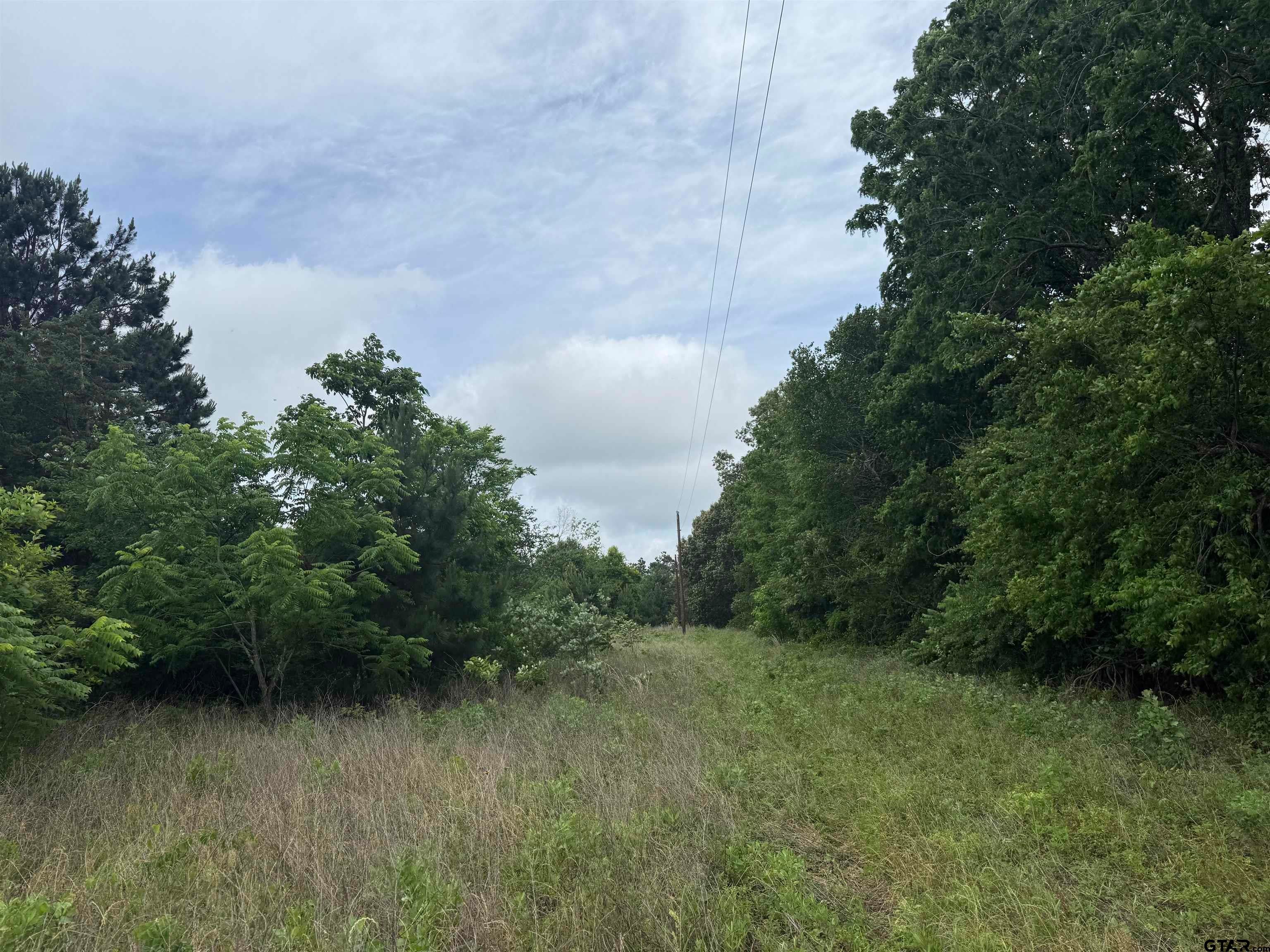 TBD FM 347 - 108 acres