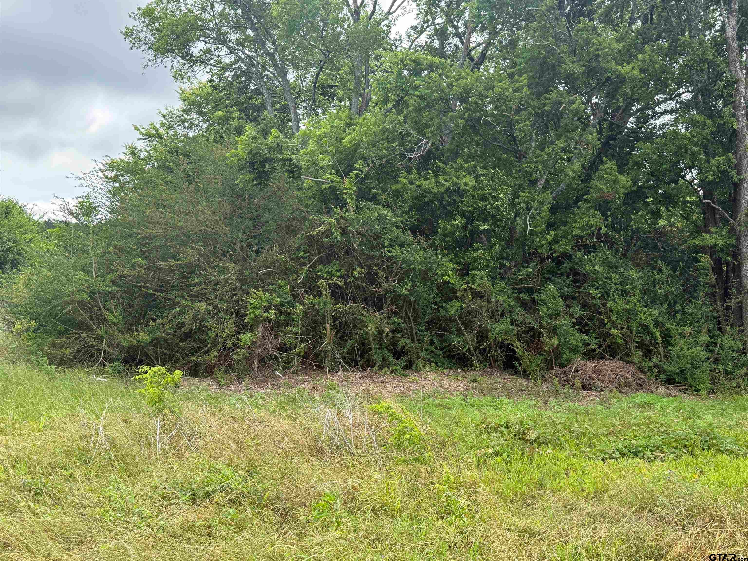 TBD FM 347 - 108 acres