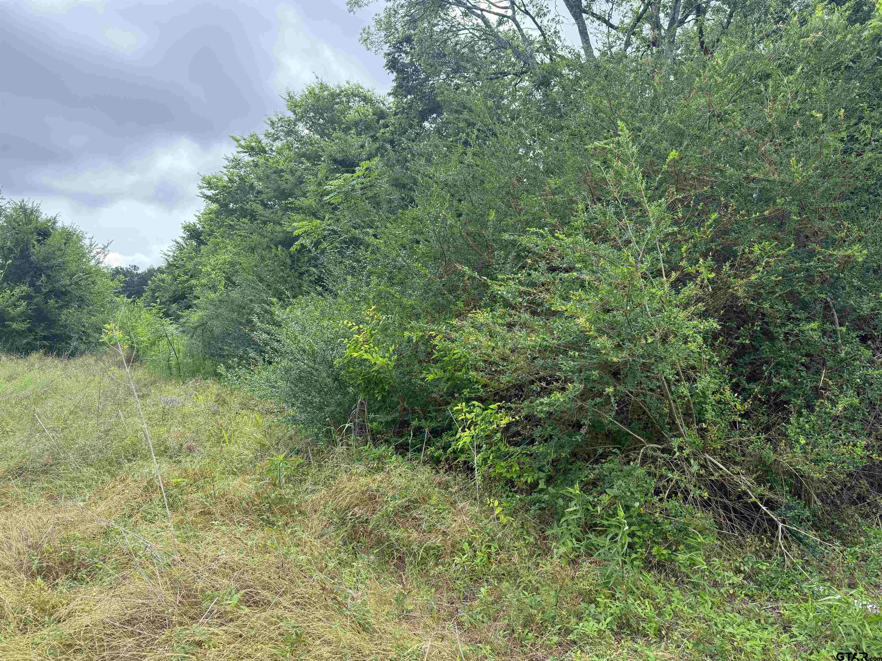 TBD FM 347 - 108 acres