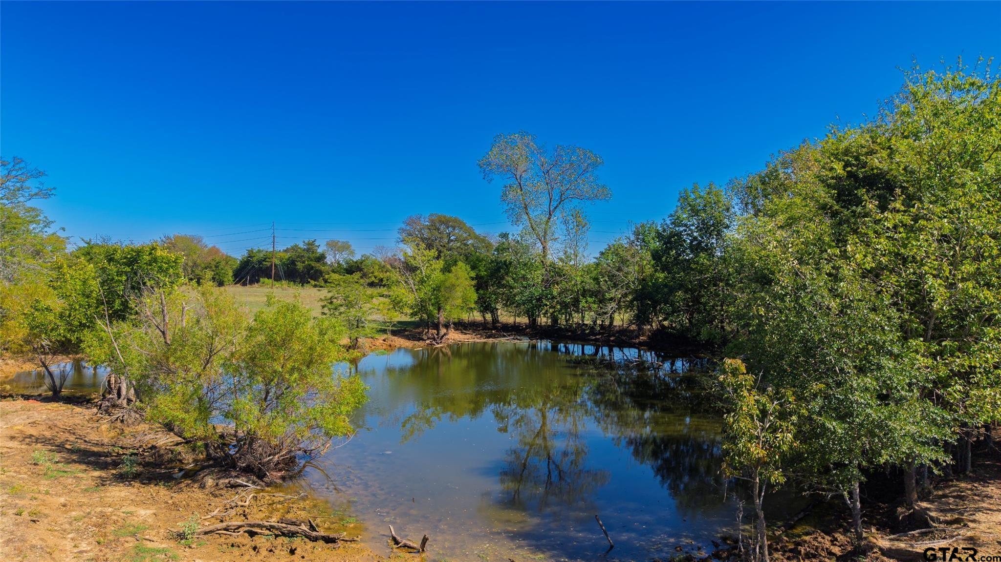 41 Acres County Road 4133