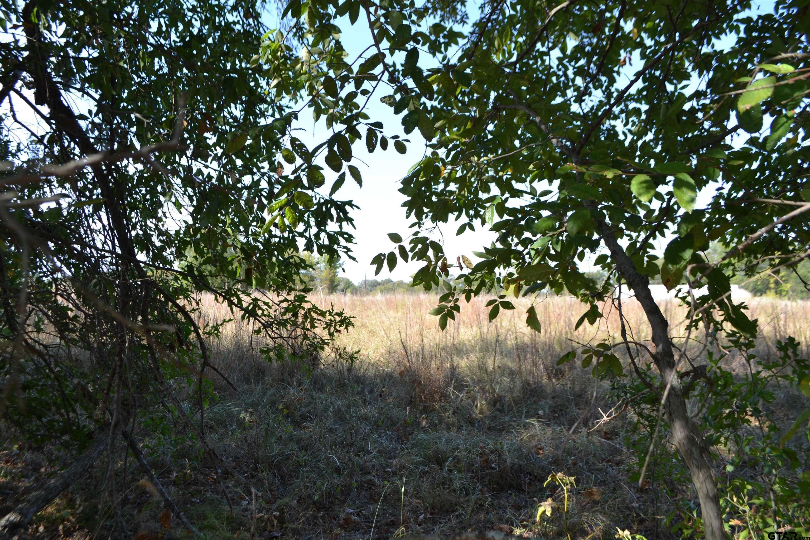 Lot 6 County Road 3410