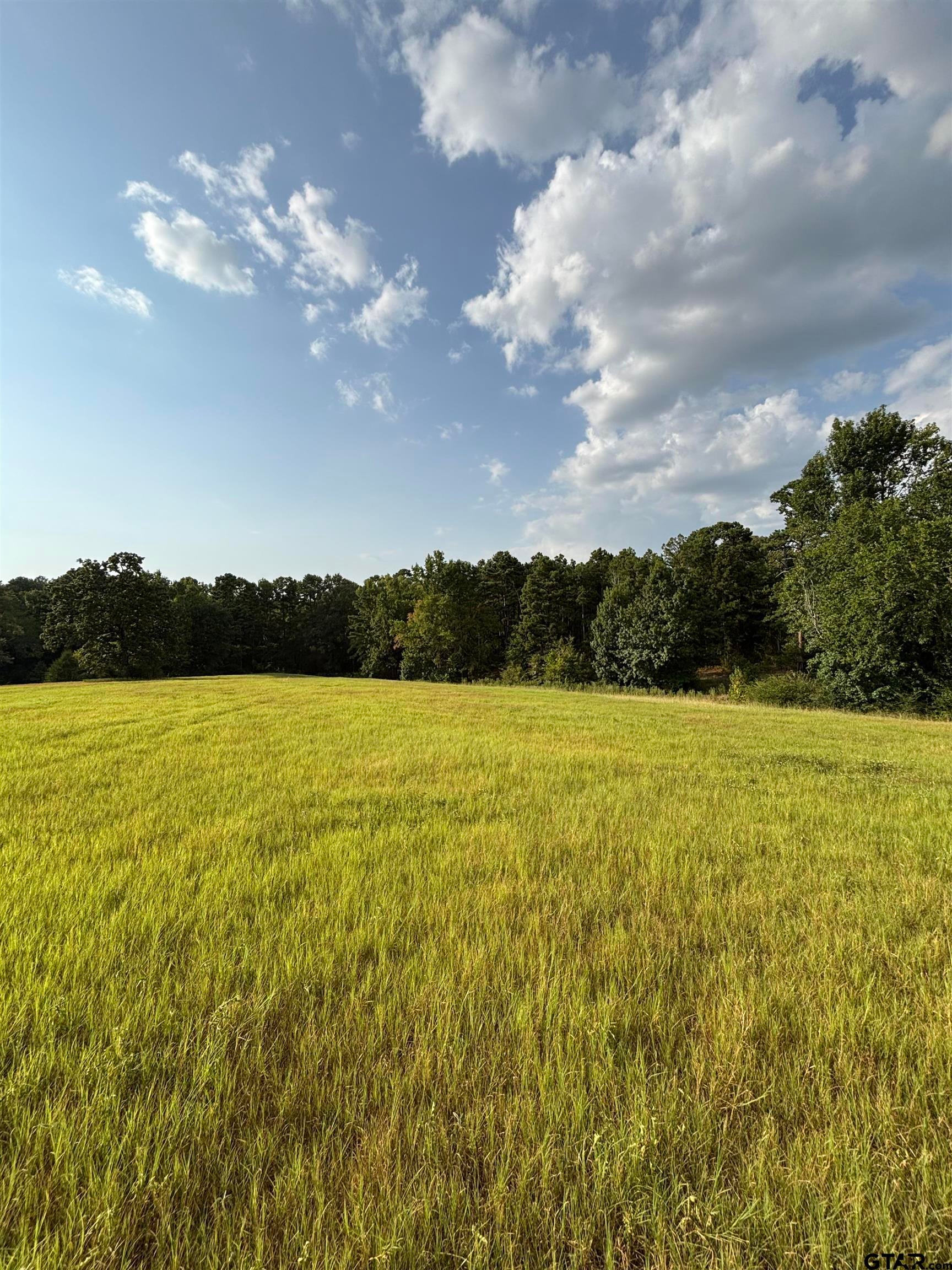 LOT 9 5.45 ACRES FM 15