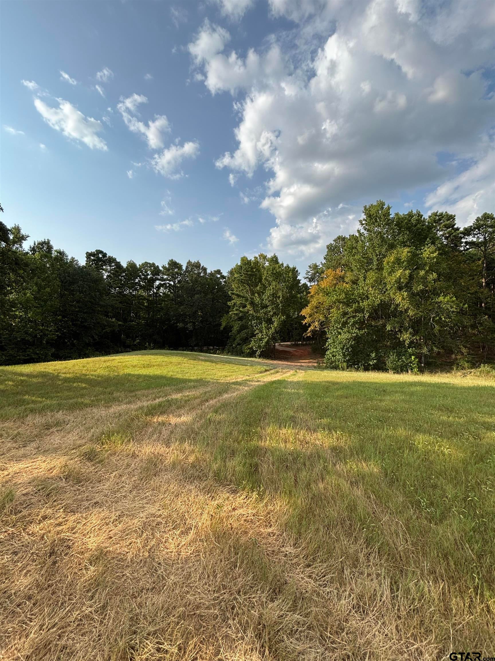 LOT 9 5.45 ACRES FM 15