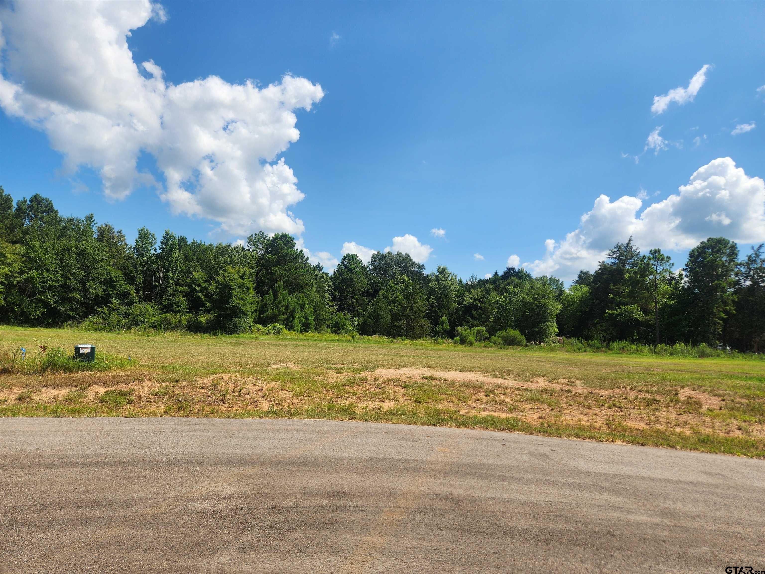 20055 Dews Ct Lot 7