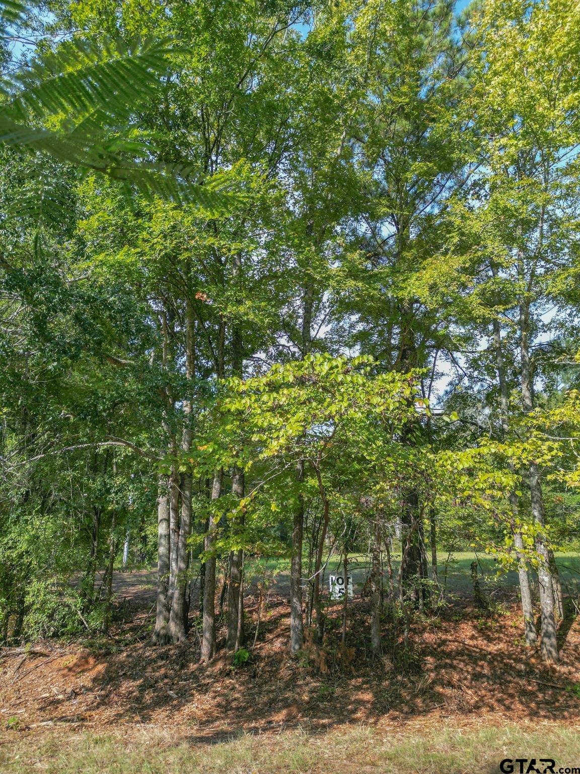 Lot 5 Willingham Rd