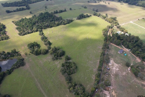 439 N FRANKSTON HWY, FRANKSTON, TX 75763 - Image 714d18d4ecca6f247a16e143ca060713/3390964874