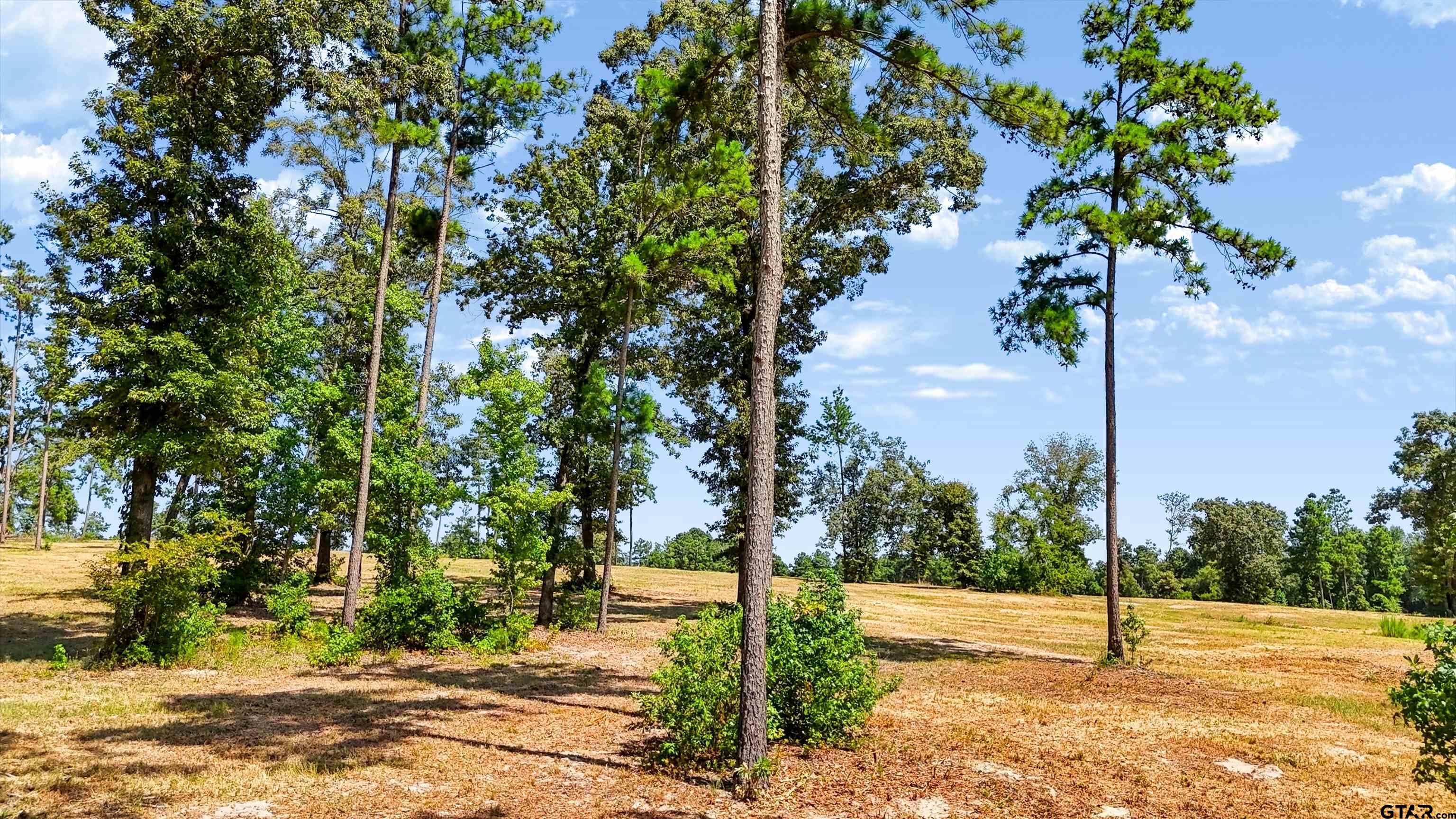 15588 Aniston Ln - (LOT 26)