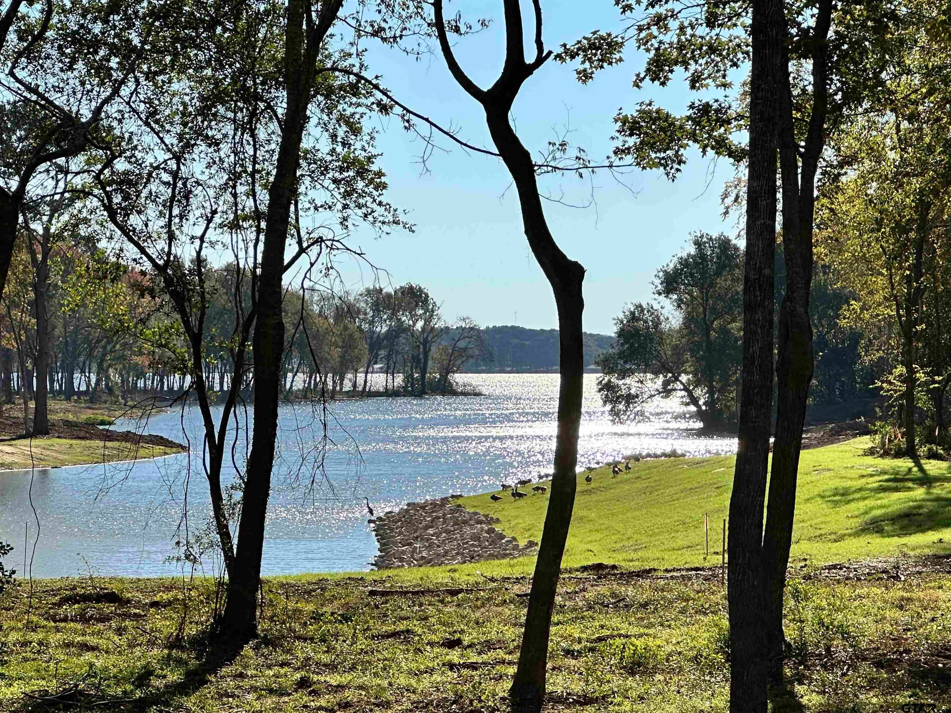 Lot 42 Oak River