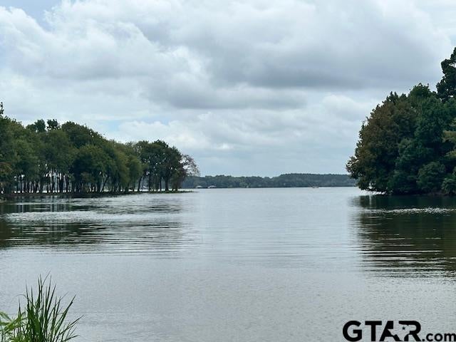 Lot 42 Oak River