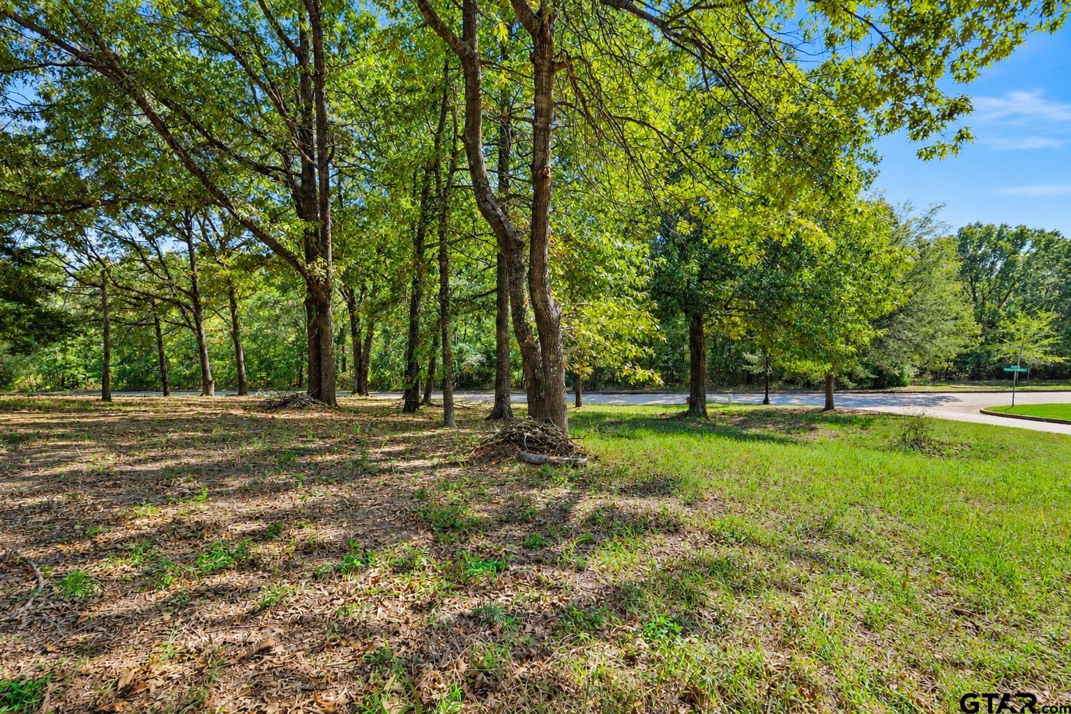 2477 Wellington Trace