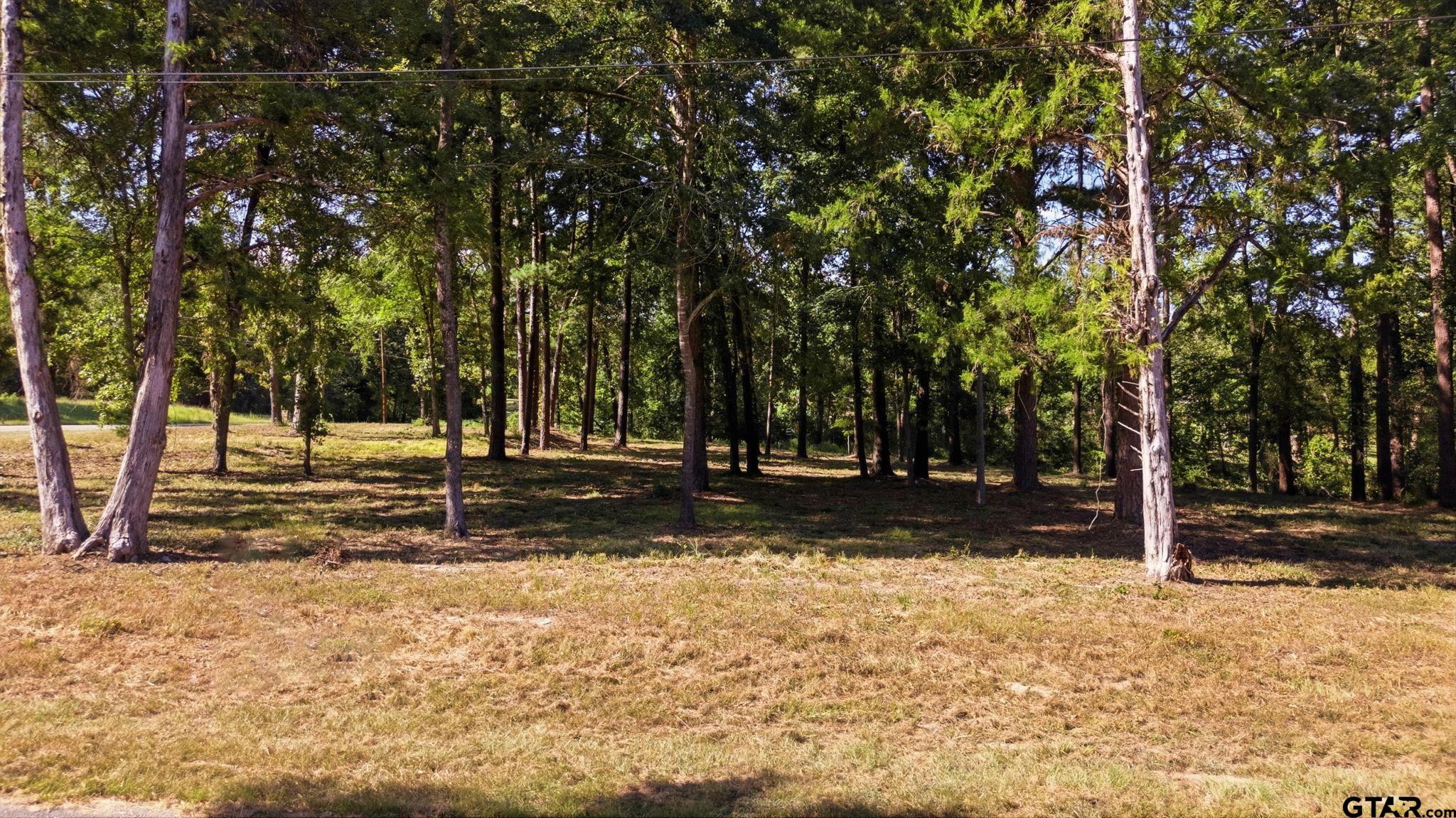 TBD Wilson Rd. (Lot 41)