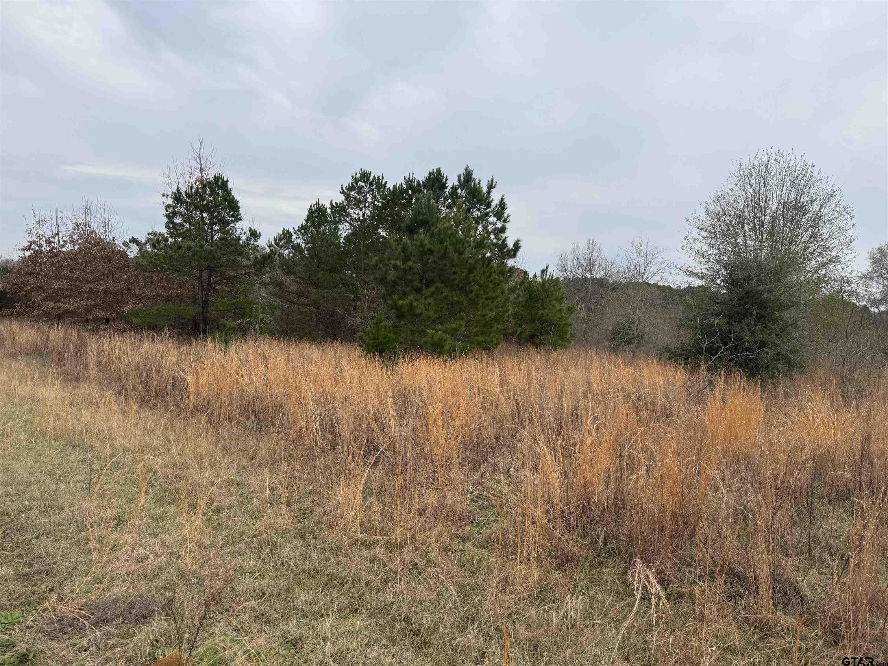 1335 San Saba