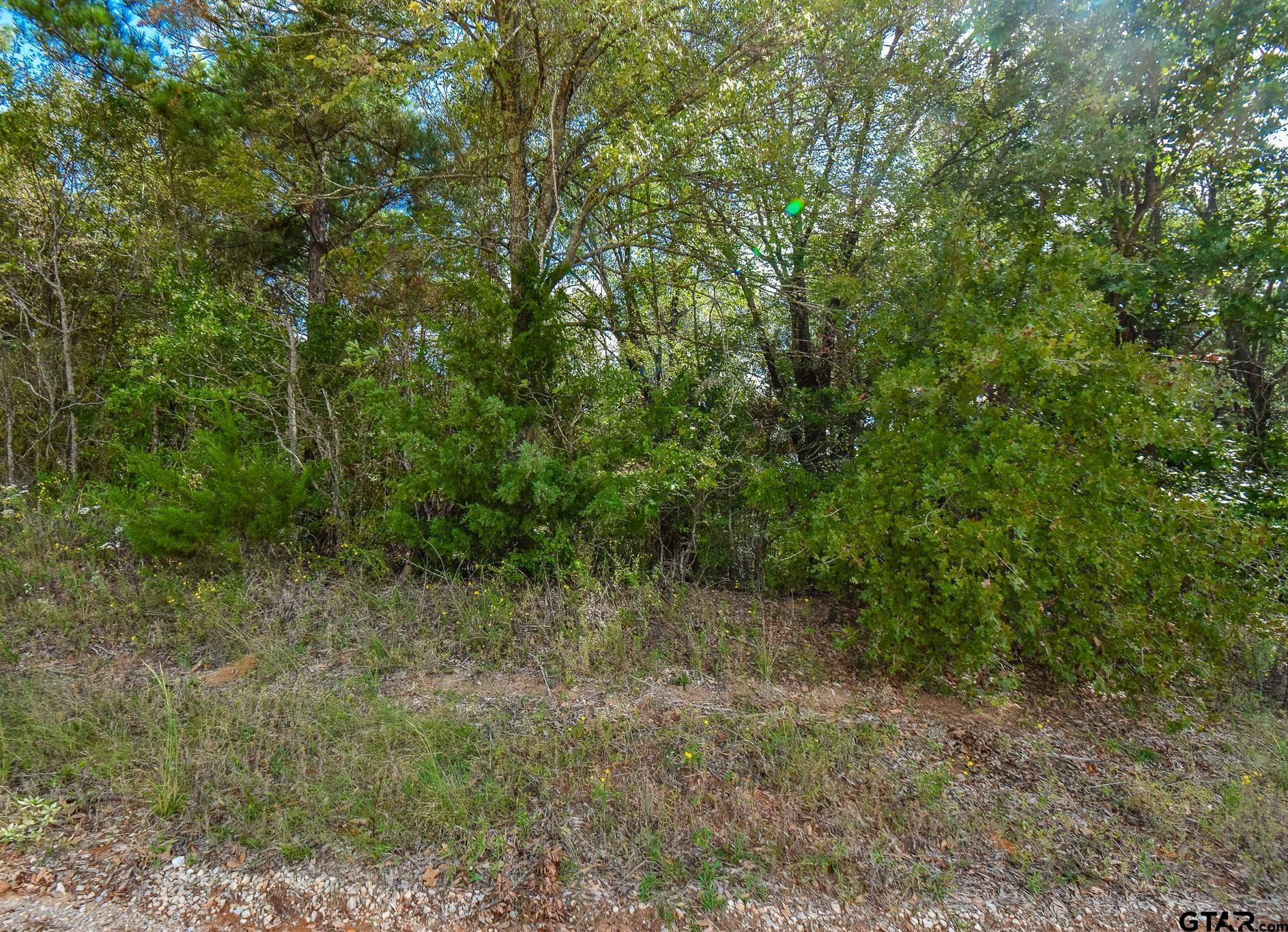 Lot 2 CR 3424