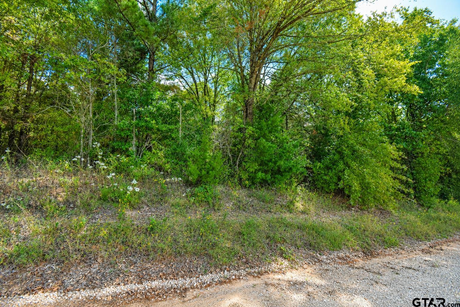 Lot 2 CR 3424
