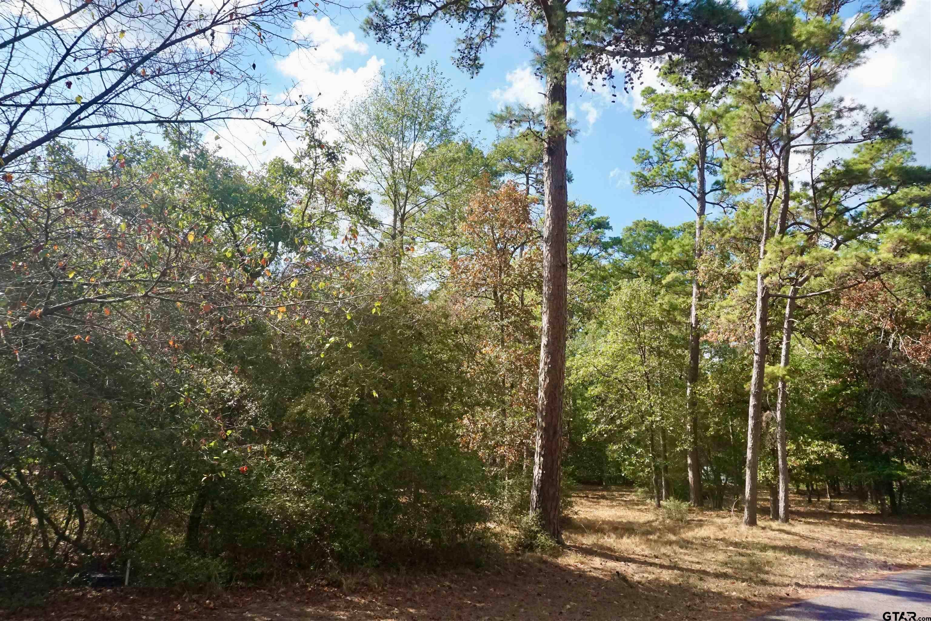 TBD Lot 146 (Evening Shadows Trail)