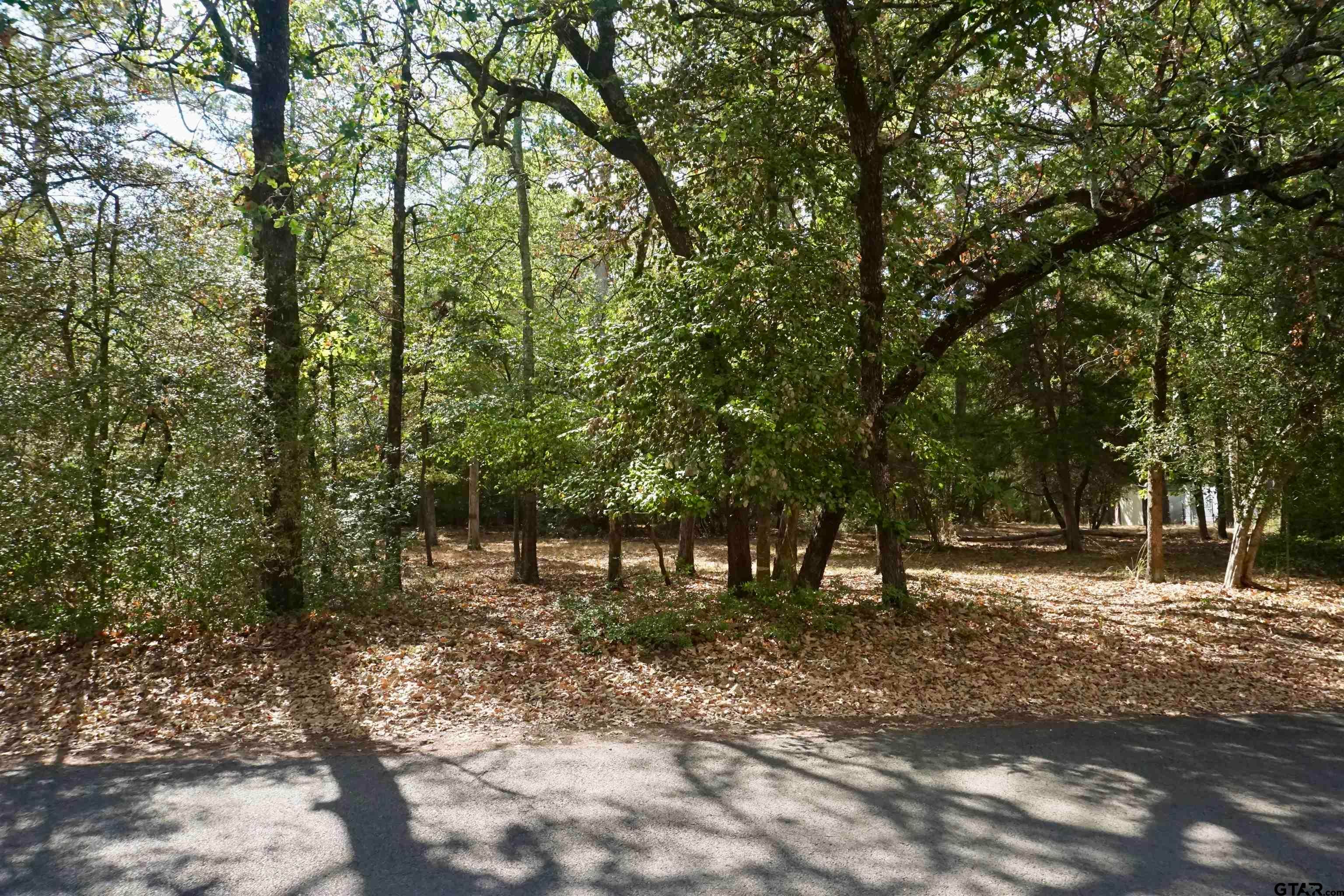 TBD Lot 146 (Evening Shadows Trail)