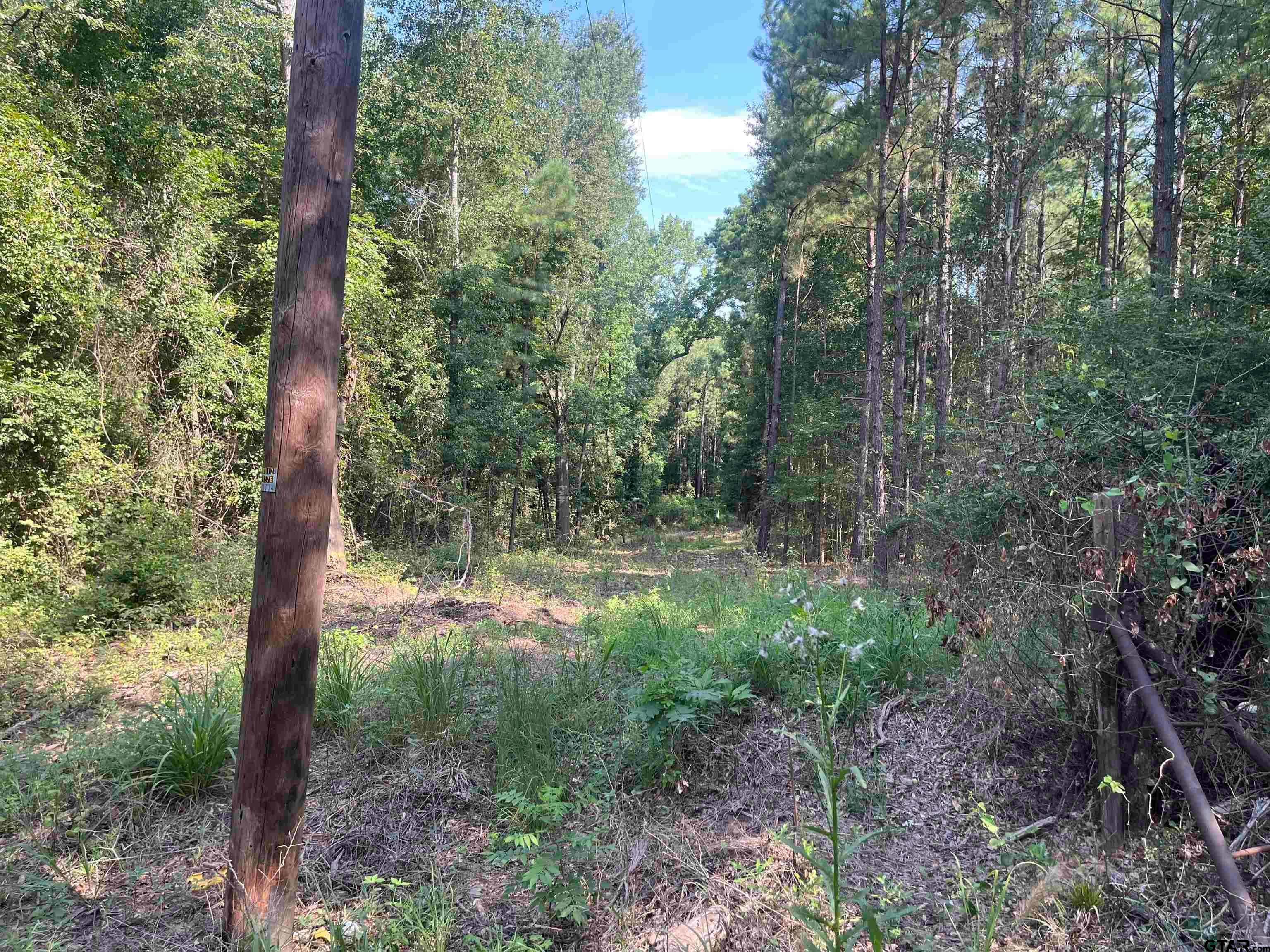 TBD County Road 3303