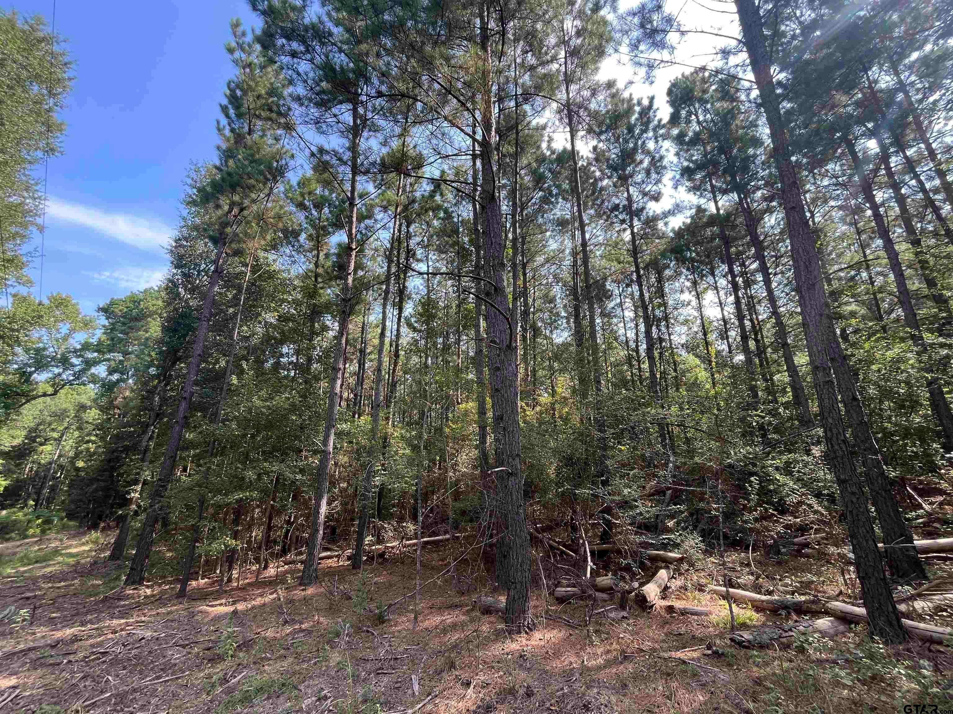 TBD County Road 3303
