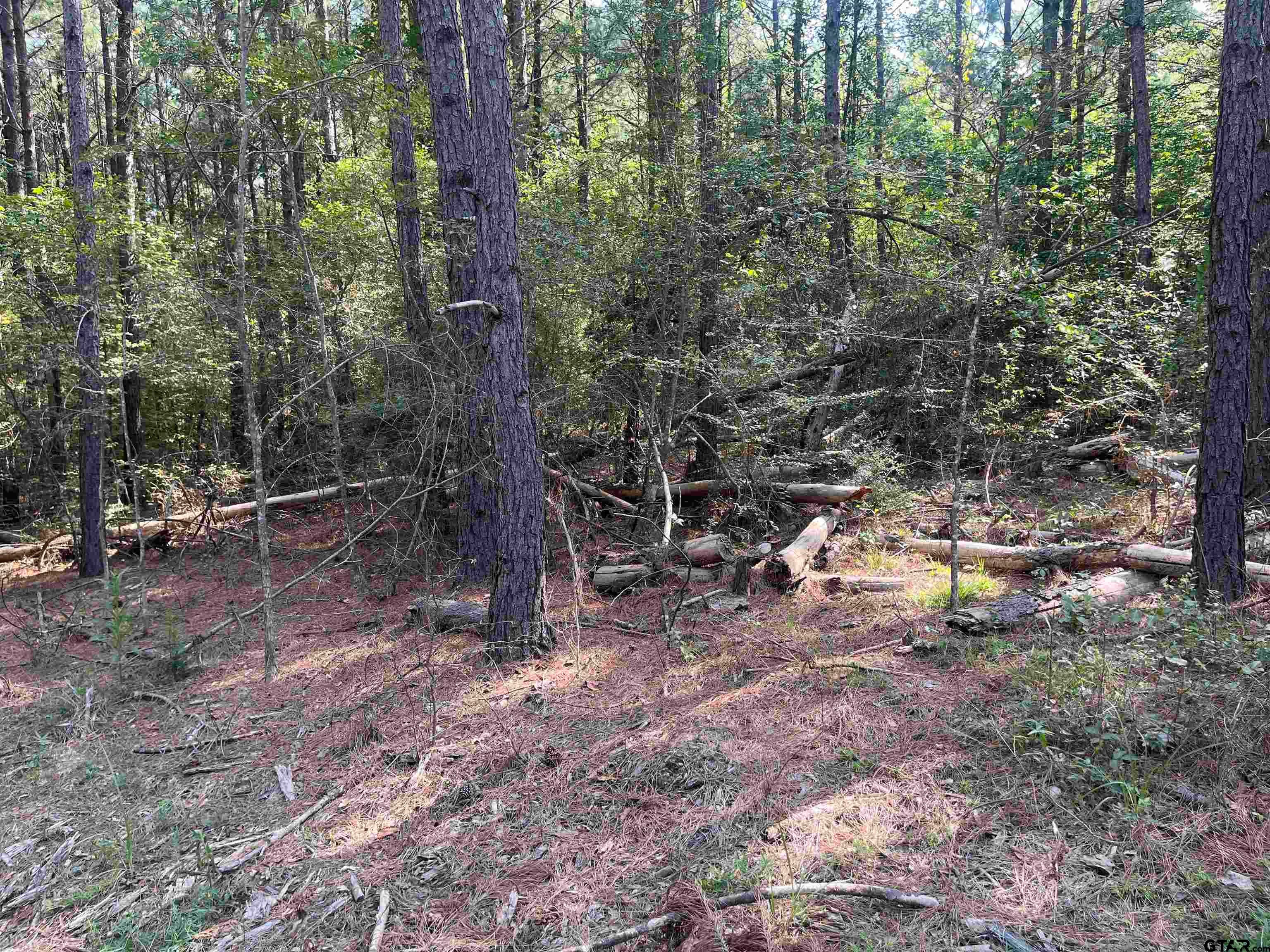 TBD County Road 3303