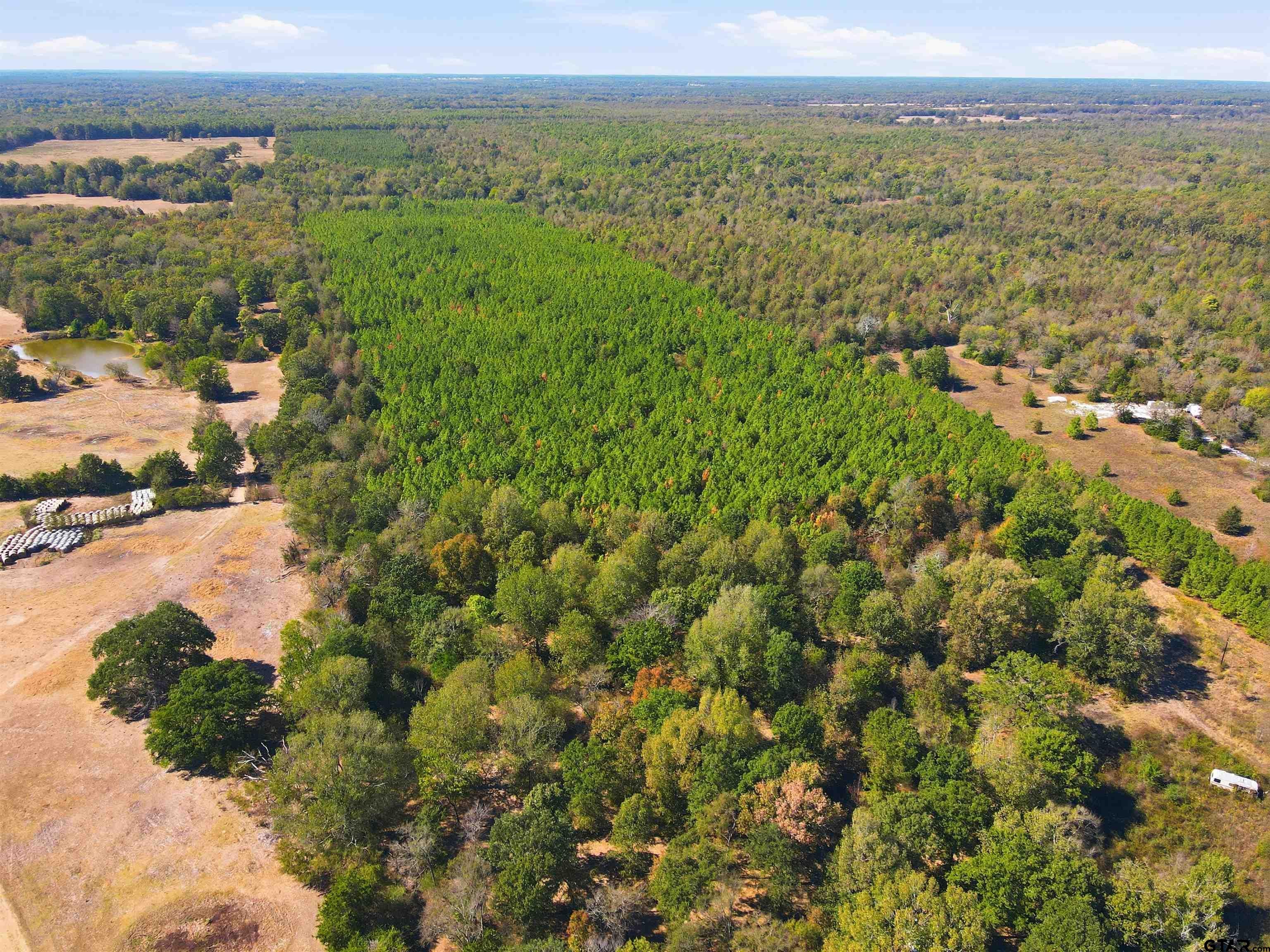 4252 Hwy 98