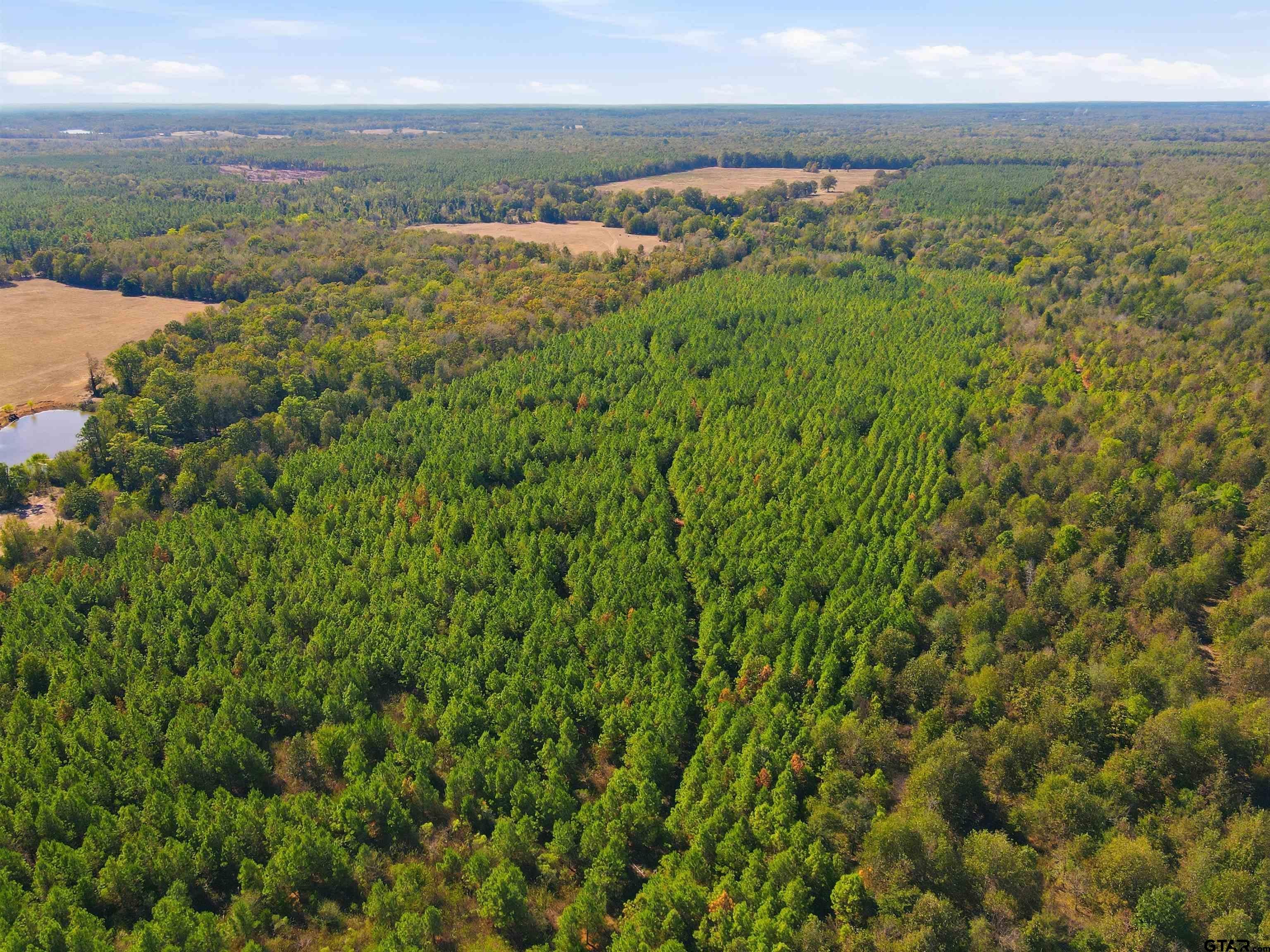 4252 Hwy 98