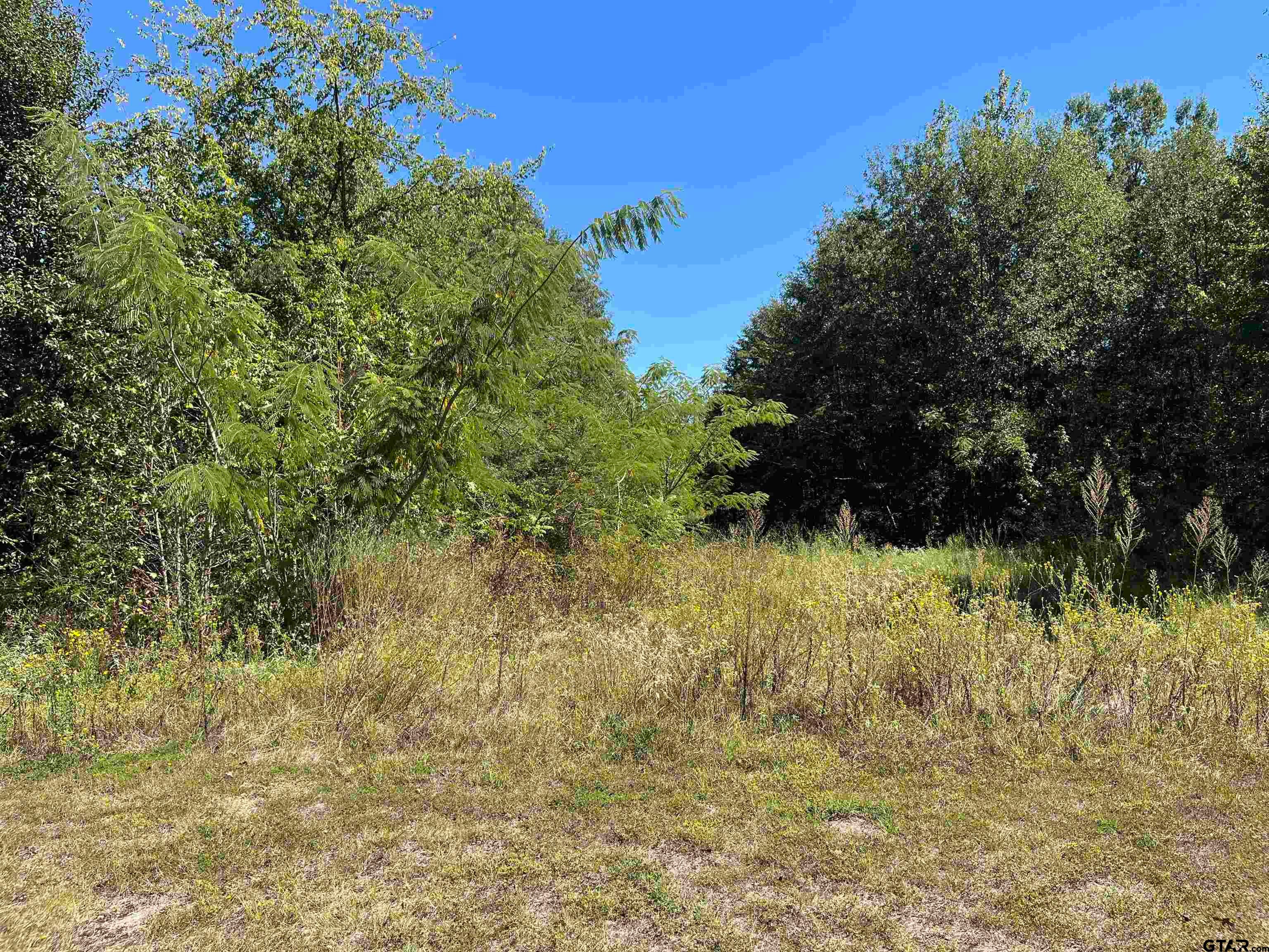TBD Tract 1 Gene Dr.