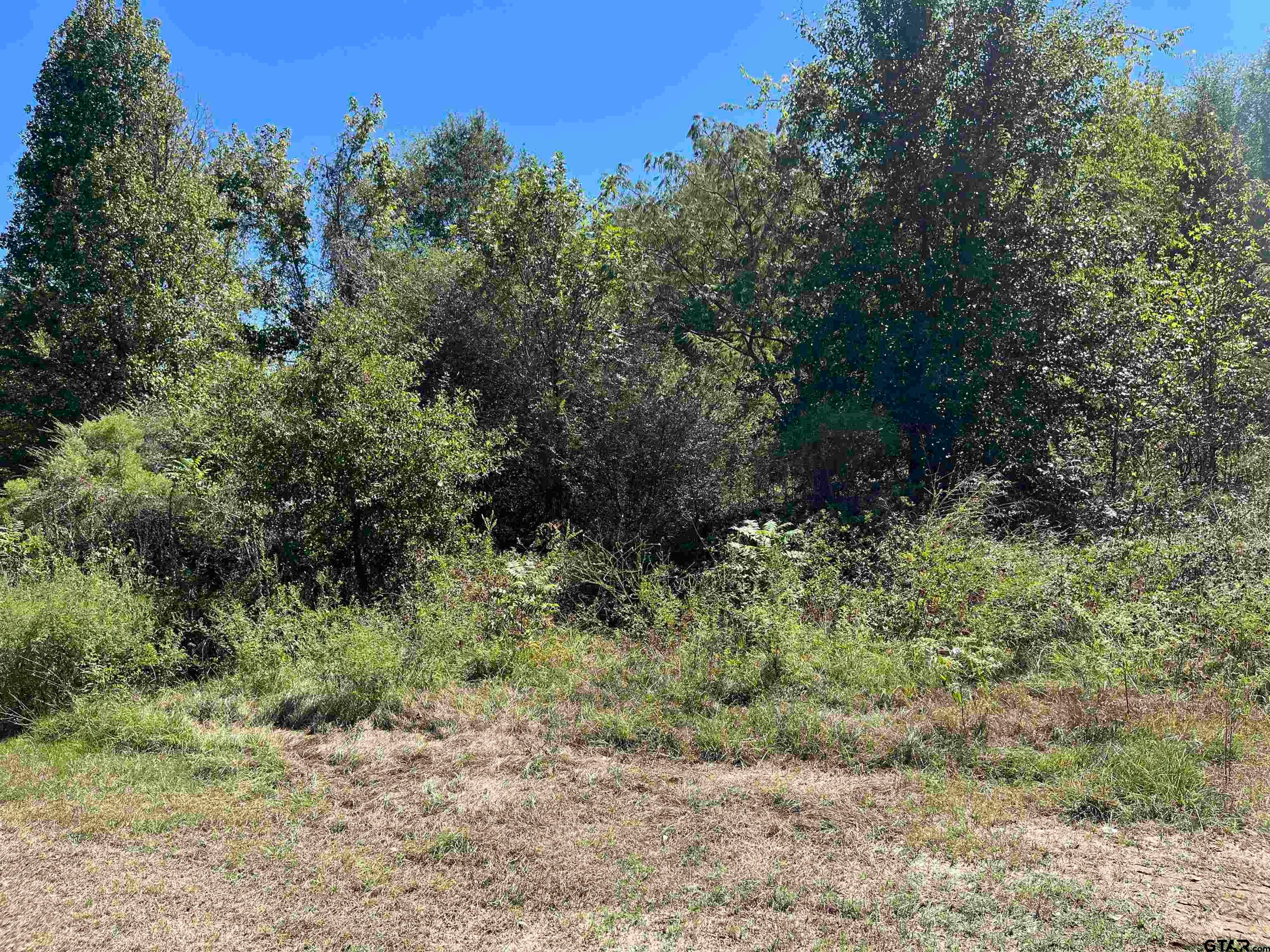 TBD Tract 1 Gene Dr.